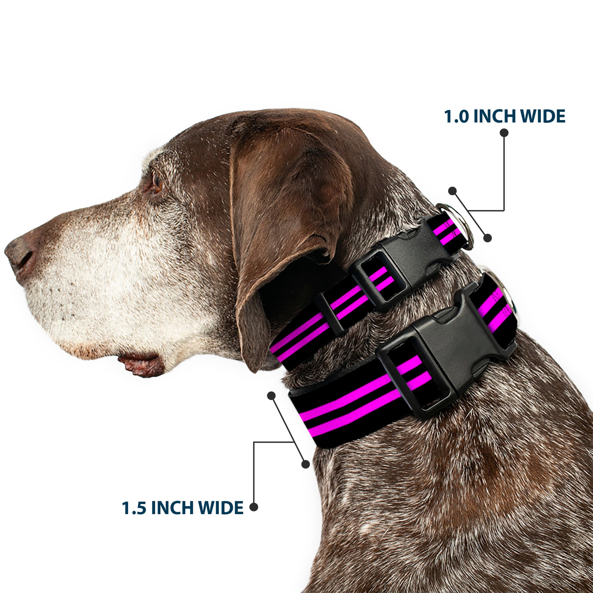 Plastic Clip Collar - Stripe Black/Pink Plastic Clip Collars Buckle-Down