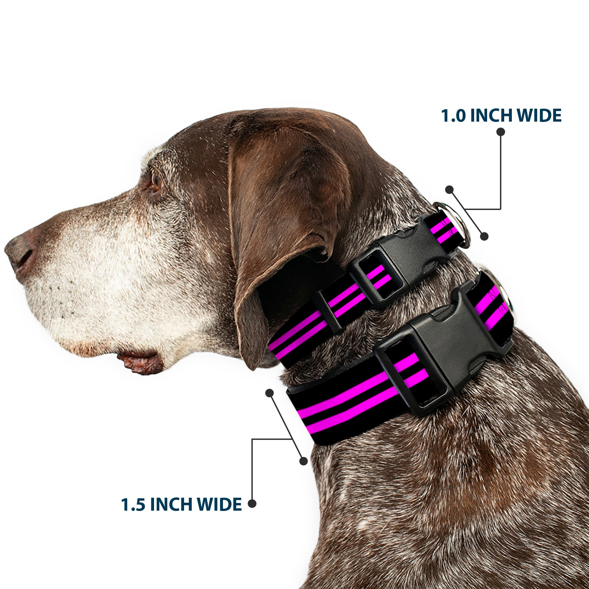 Plastic Clip Collar - Stripe Black/Pink Plastic Clip Collars Buckle-Down