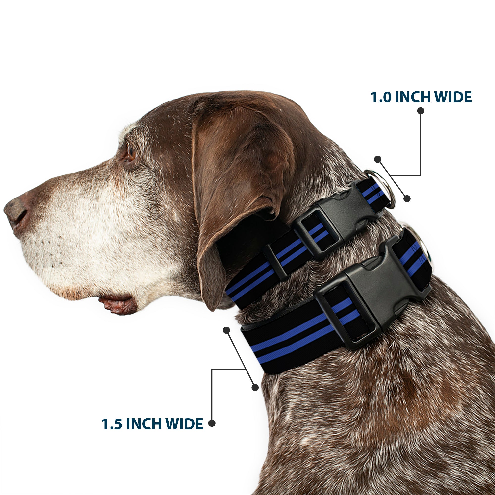 Plastic Clip Collar - Stripe Black/Blue Plastic Clip Collars Buckle-Down