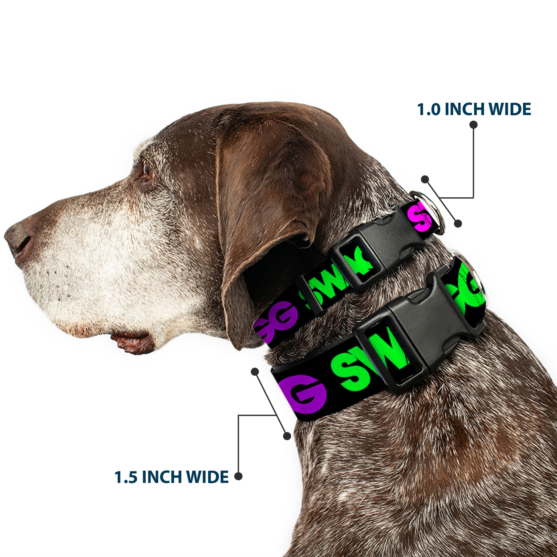 Plastic Clip Collar - SWAGG Black/Hot Pink/Turquoise/Purple/Neon Green Plastic Clip Collars Buckle-Down