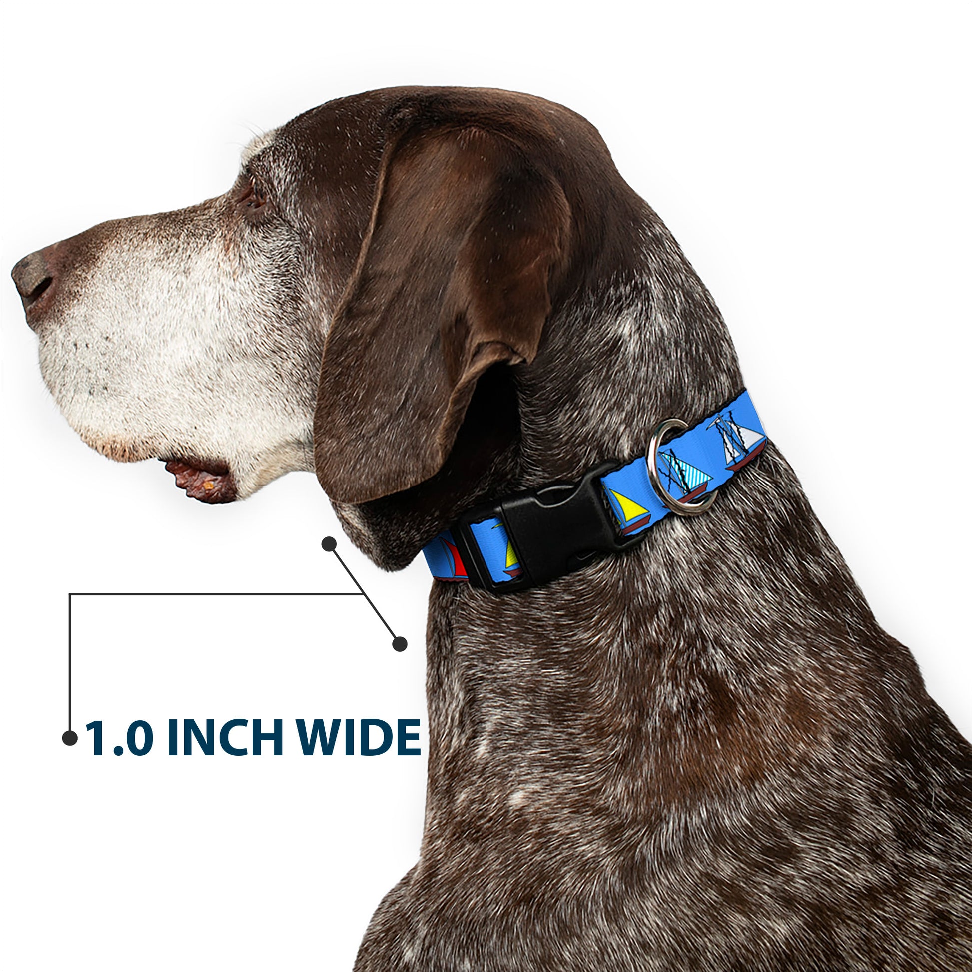Plastic Clip Collar - Sailboats Blue Plastic Clip Collars Buckle-Down