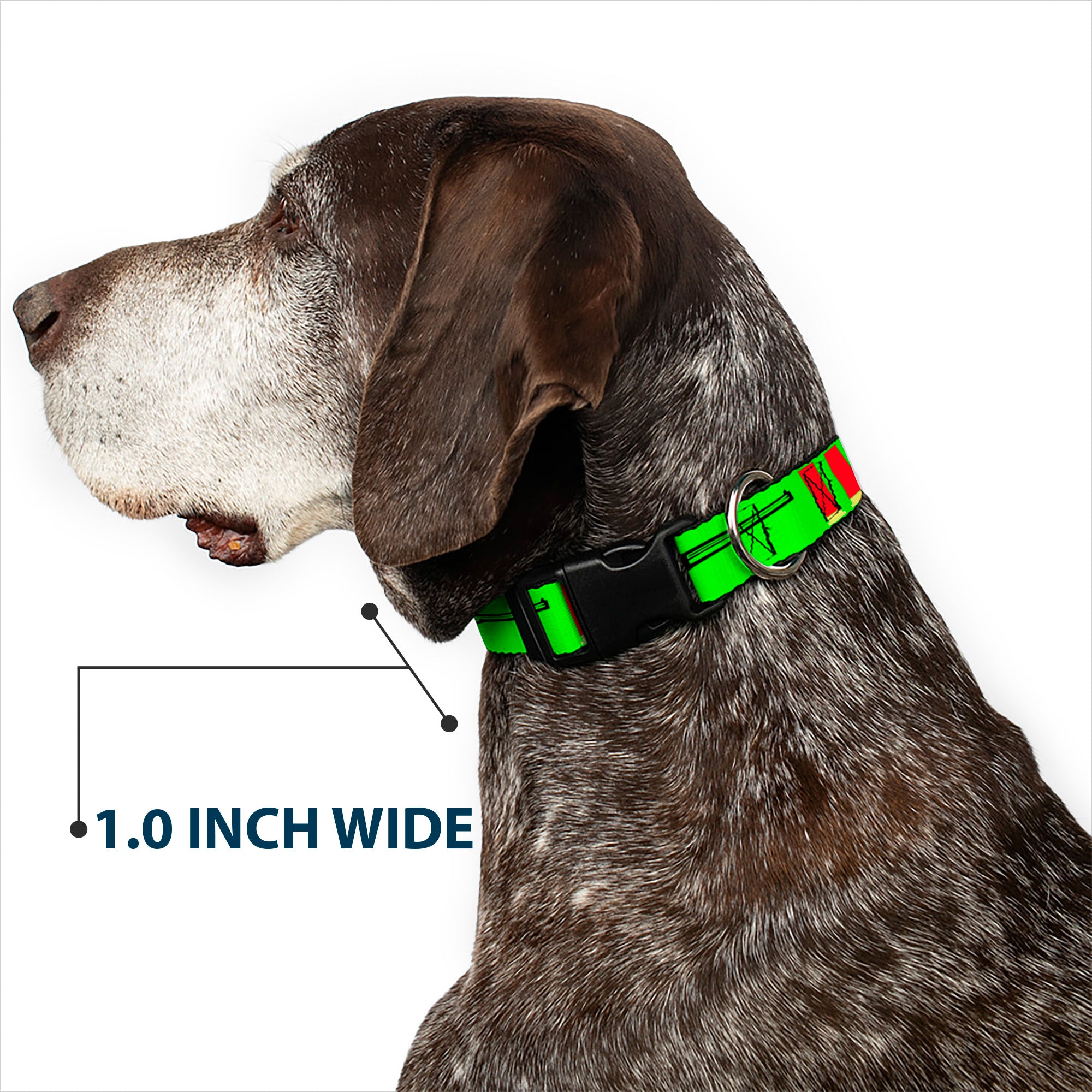 Buckle-Down Plastic Buckle Dog Collar - Shotgun & Shells Green Plastic Clip Collars Buckle-Down