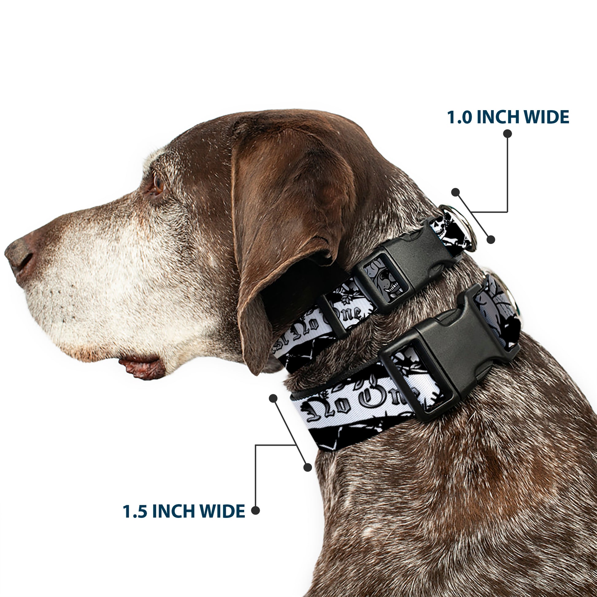 Plastic Clip Collar - Trust No One Black/White Plastic Clip Collars Buckle-Down
