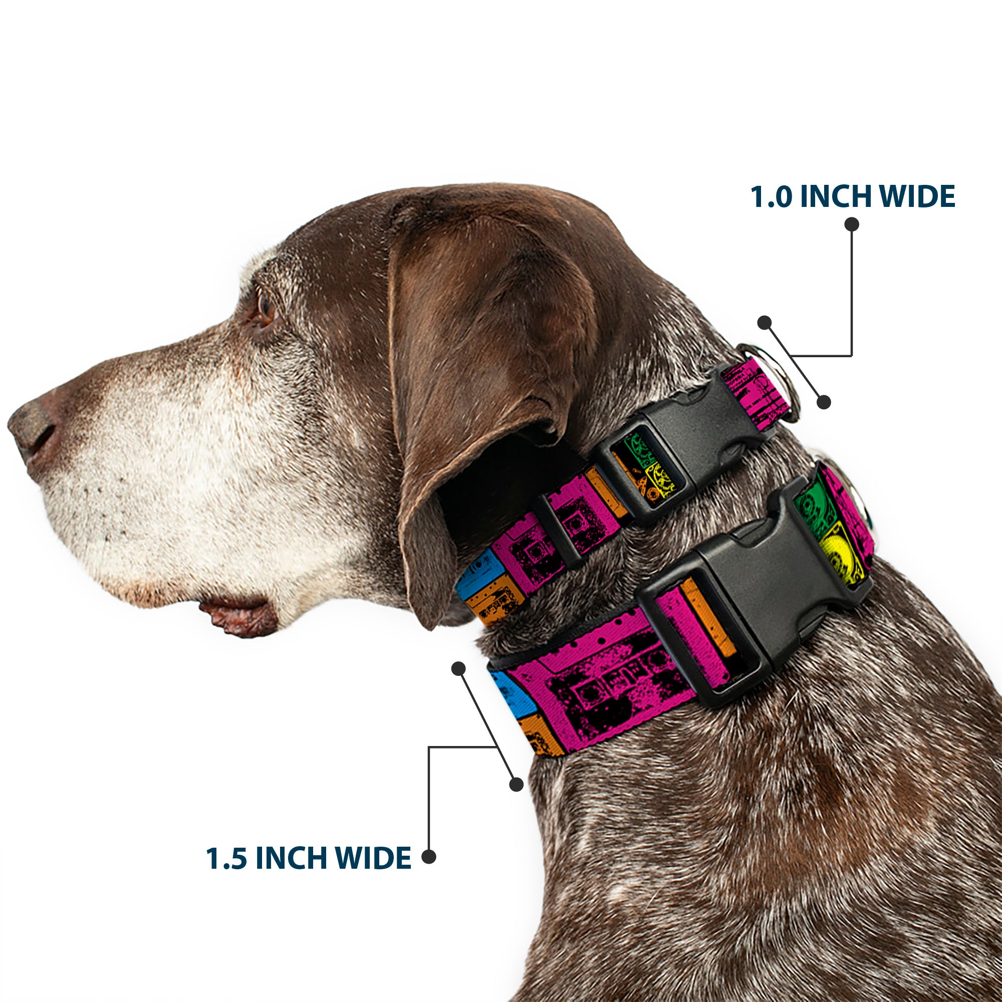 Plastic Clip Collar - Tapes Multi Neon Plastic Clip Collars Buckle-Down