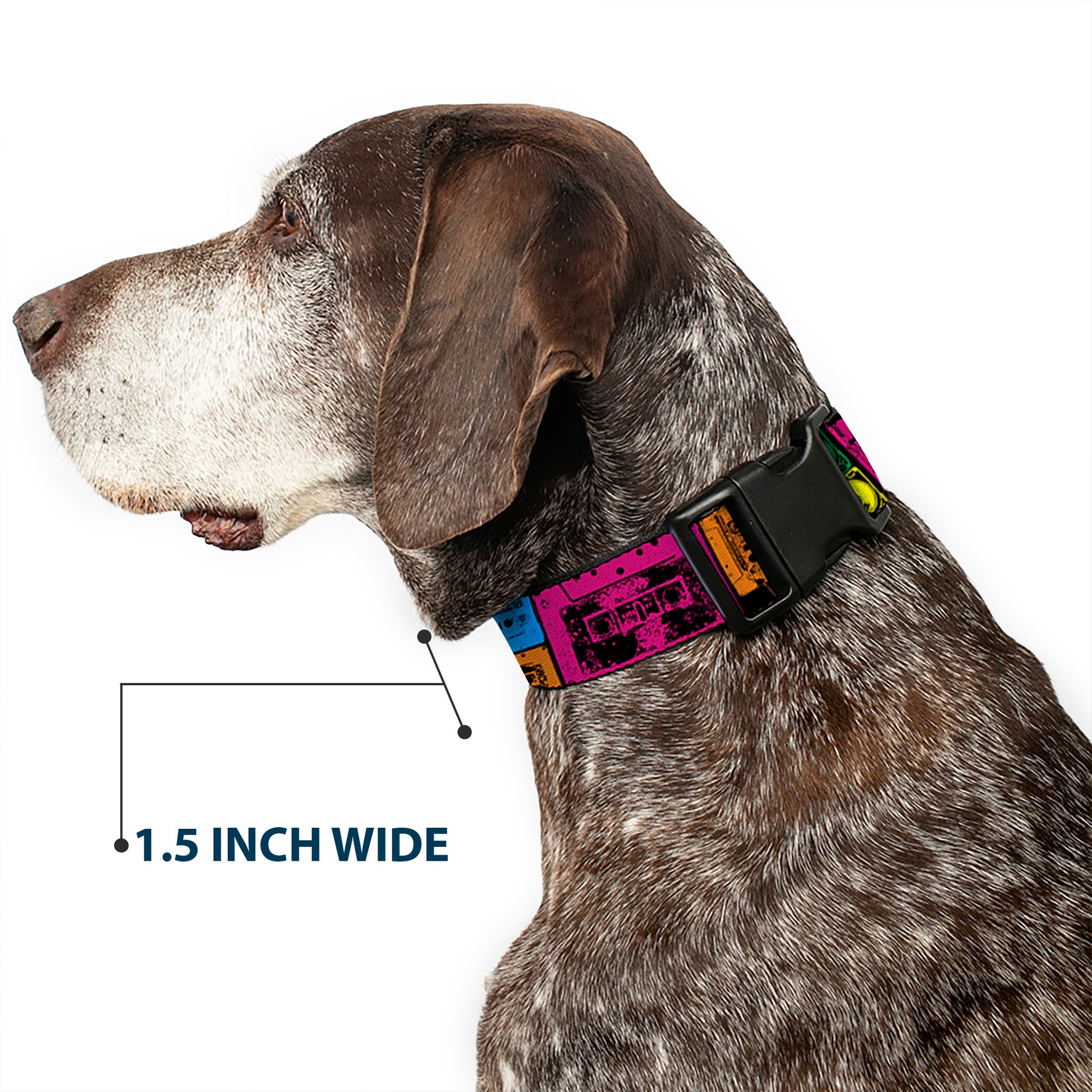 Plastic Clip Collar - Tapes Multi Neon Plastic Clip Collars Buckle-Down