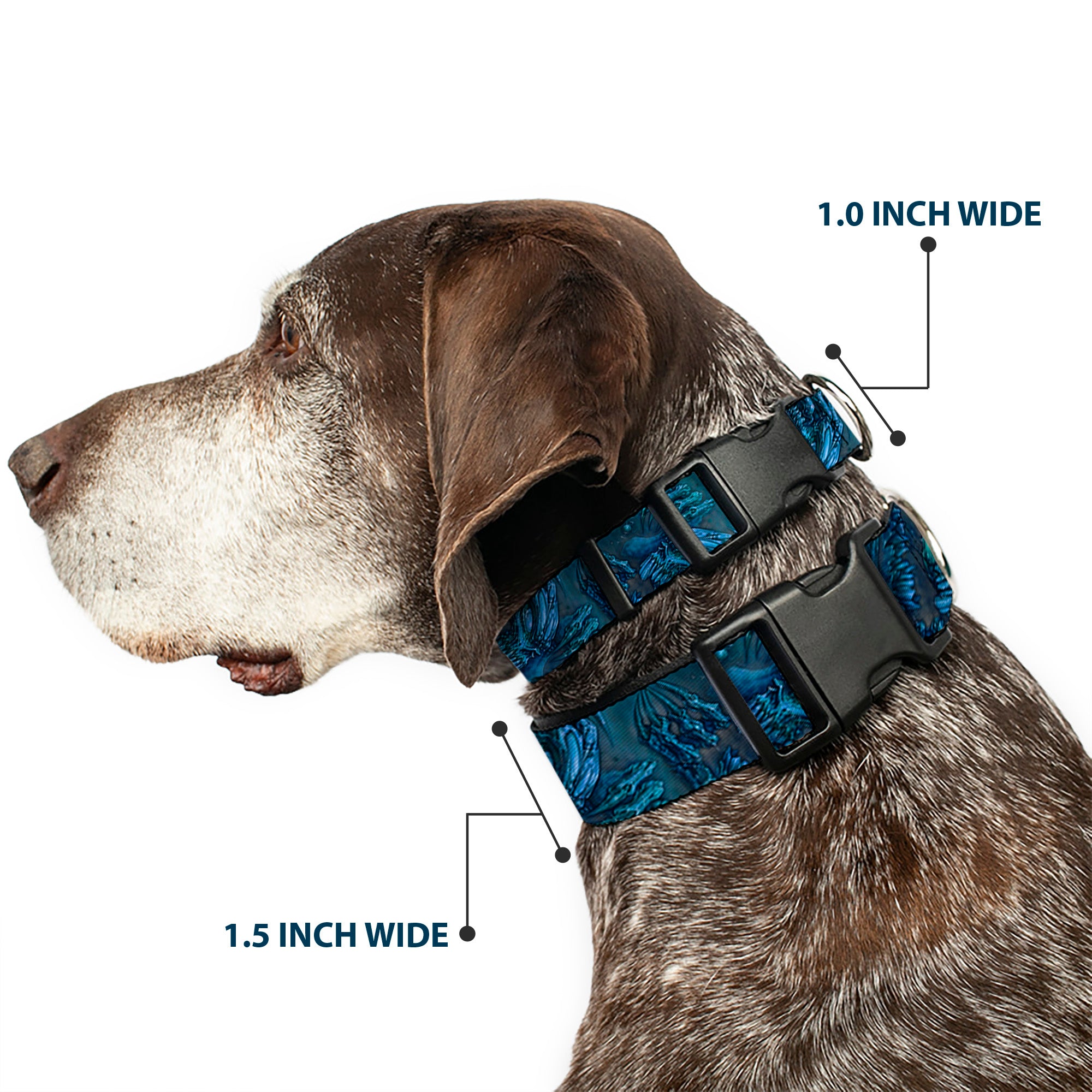 Plastic Clip Collar - TJ-Brutal Blue Plastic Clip Collars Tattoo Johnny