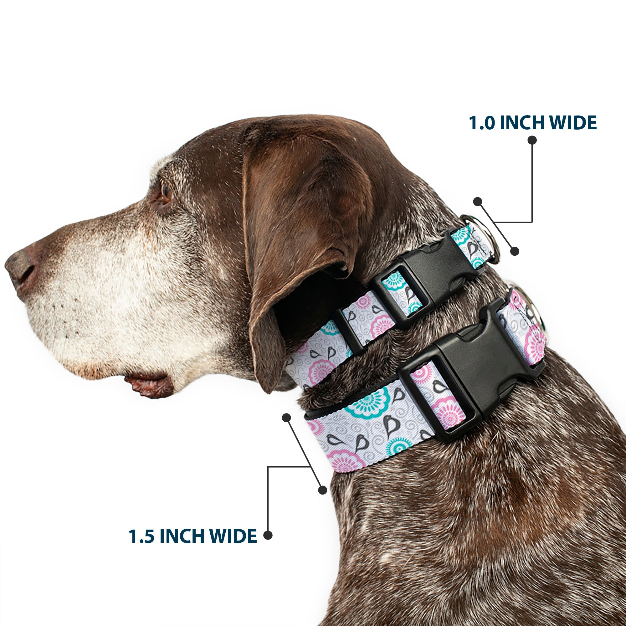 Plastic Clip Collar - Bird Tapestry White/Gray/Turquoise/Pink Plastic Clip Collars Buckle-Down