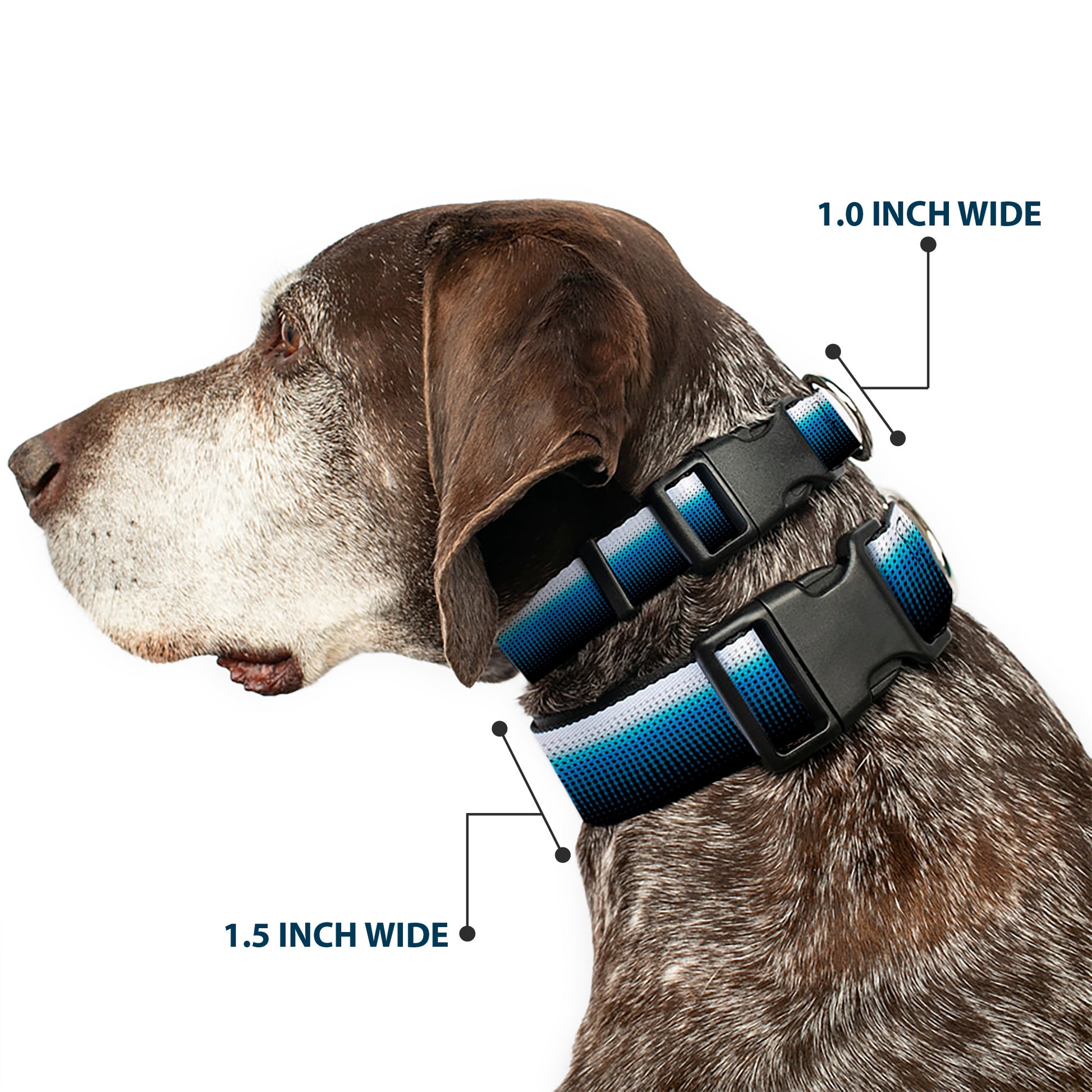 Plastic Clip Collar - Transitioning Dots White/Blue/Black Plastic Clip Collars Buckle-Down