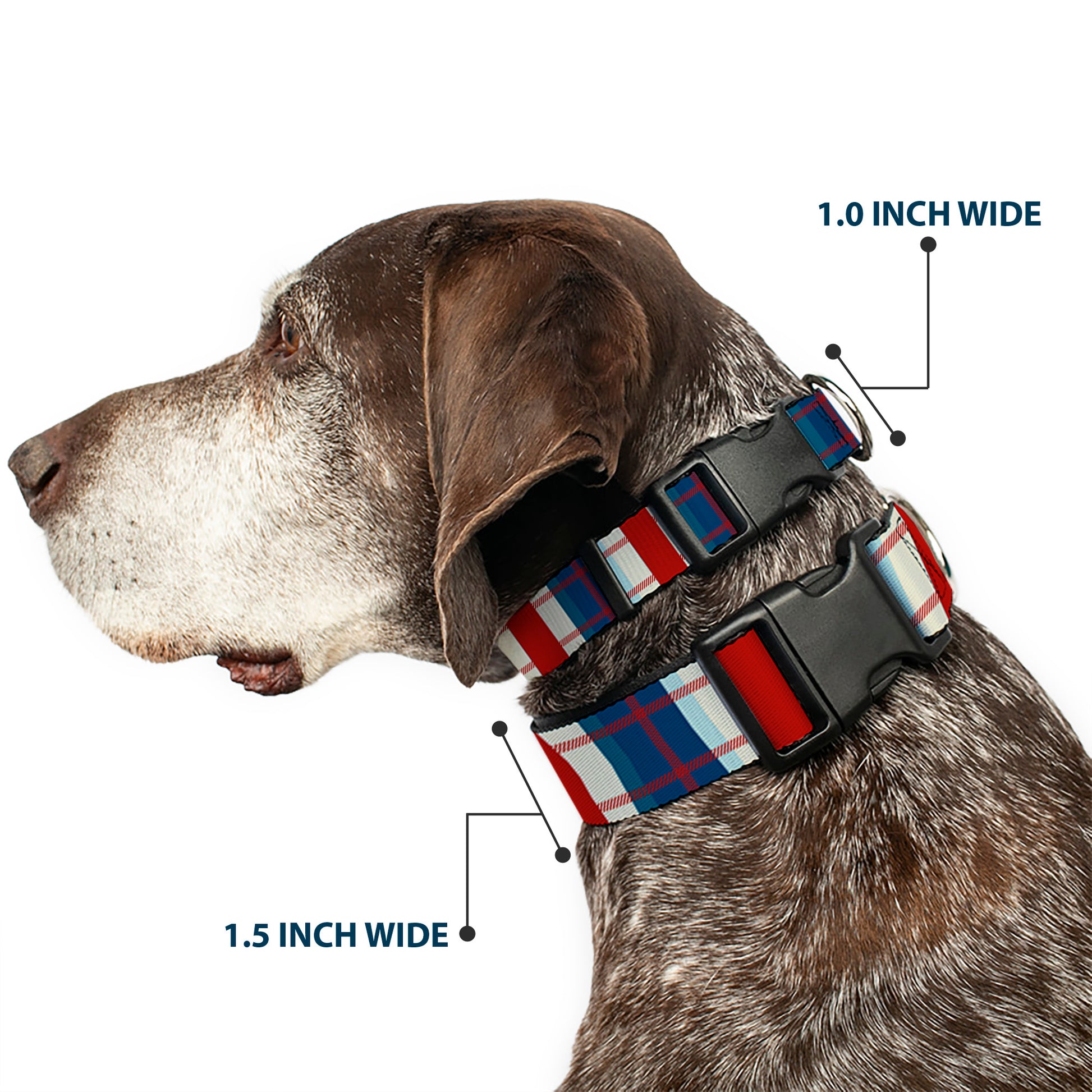 Plastic Clip Collar - Tartan Plaid Khaki/Blues/Red Plastic Clip Collars Buckle-Down