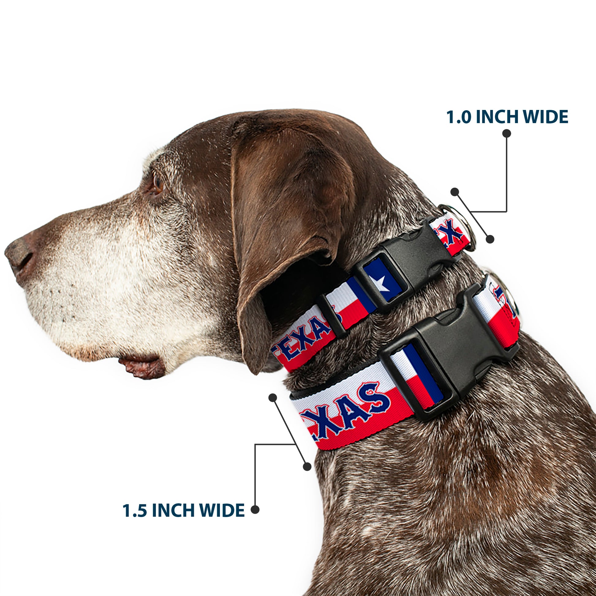 Plastic Clip Collar - Texas Flag/TEXAS Plastic Clip Collars Buckle-Down