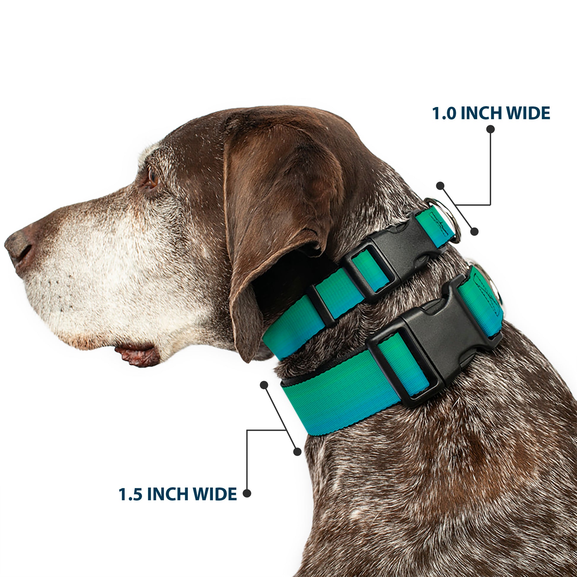 Plastic Clip Collar - Teal Ombre Plastic Clip Collars Buckle-Down