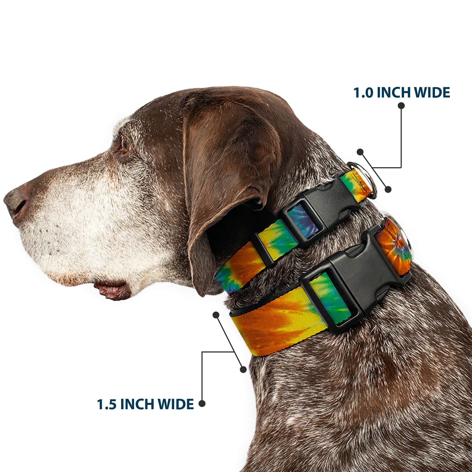 Plastic Clip Collar - Tie Dye Swirl Multi Color Plastic Clip Collars Buckle-Down