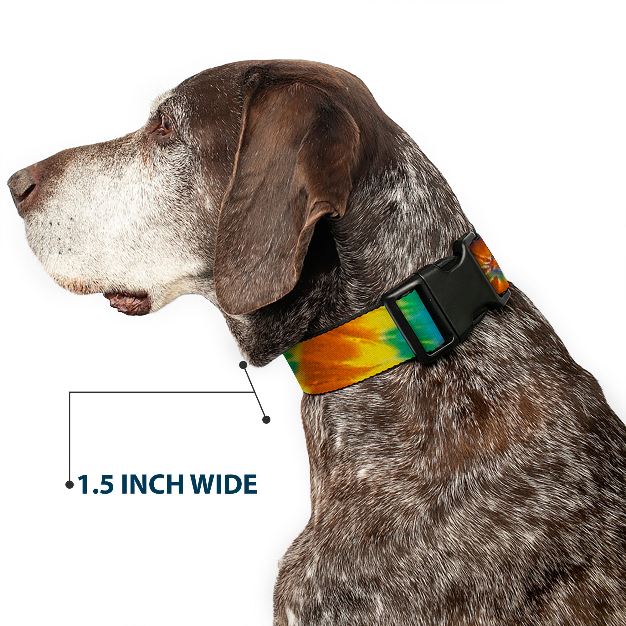 Plastic Clip Collar - Tie Dye Swirl Multi Color Plastic Clip Collars Buckle-Down