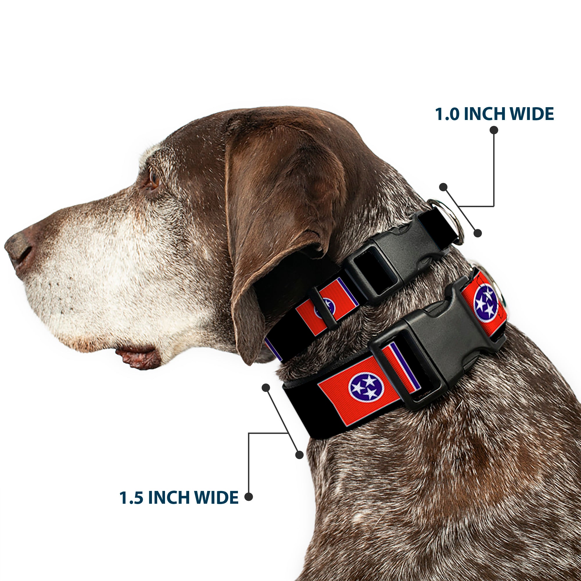 Plastic Clip Collar - Tennessee Flags/Black Plastic Clip Collars Buckle-Down