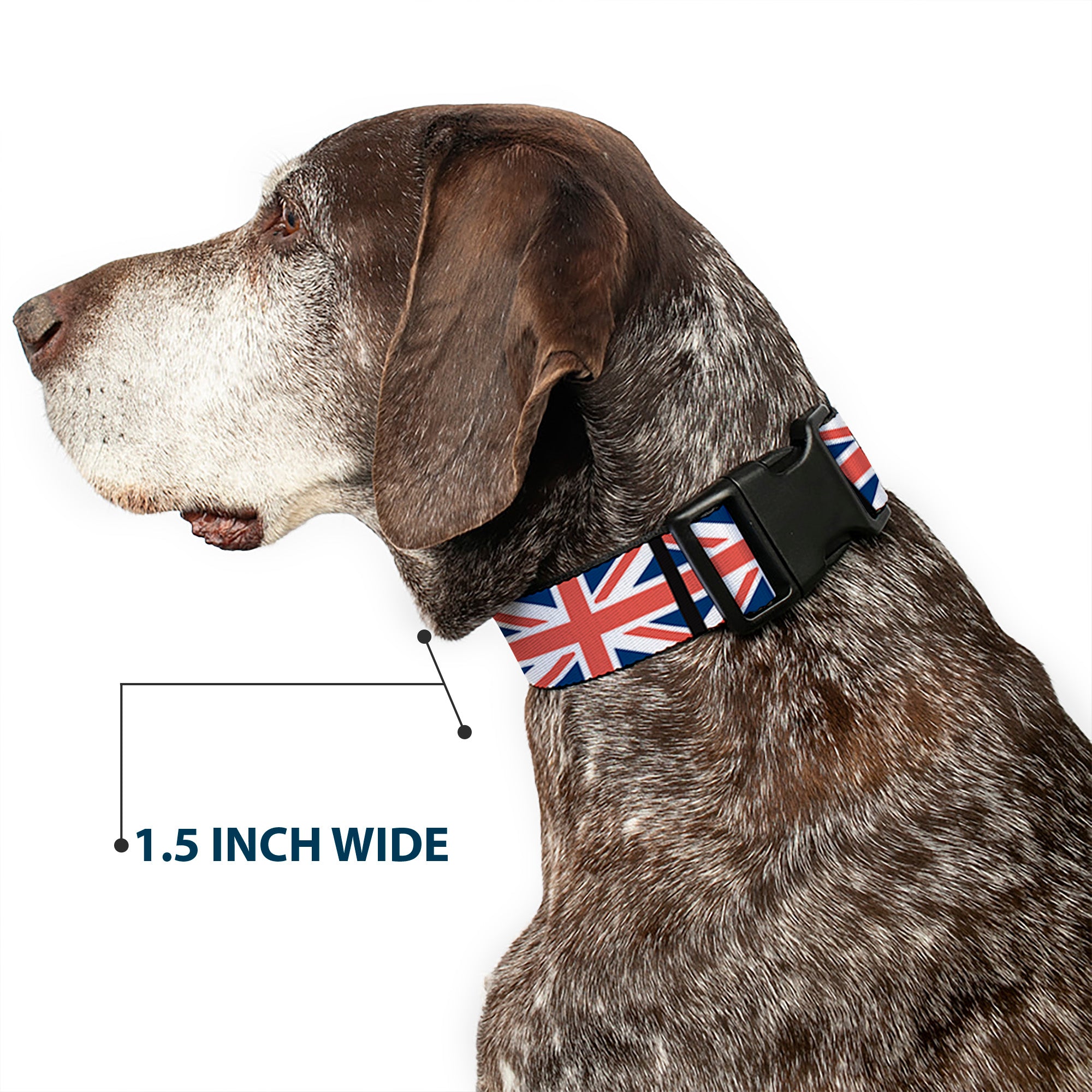 Plastic Clip Collar - United Kingdom Flags Plastic Clip Collars Buckle-Down