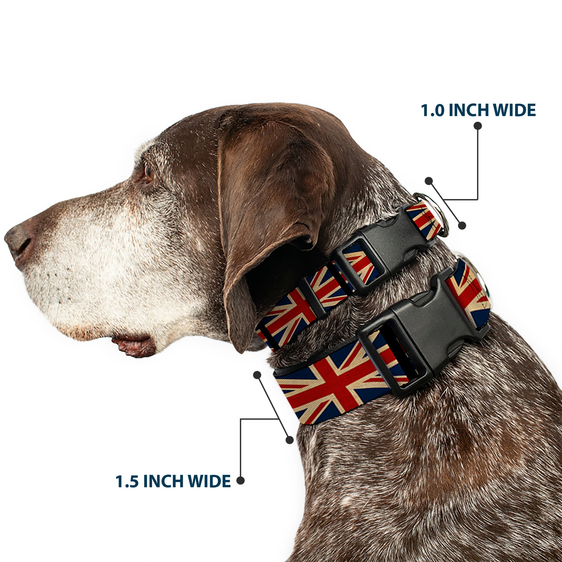 Plastic Clip Collar - United Kingdom Flags Vintage Black Plastic Clip Collars Buckle-Down