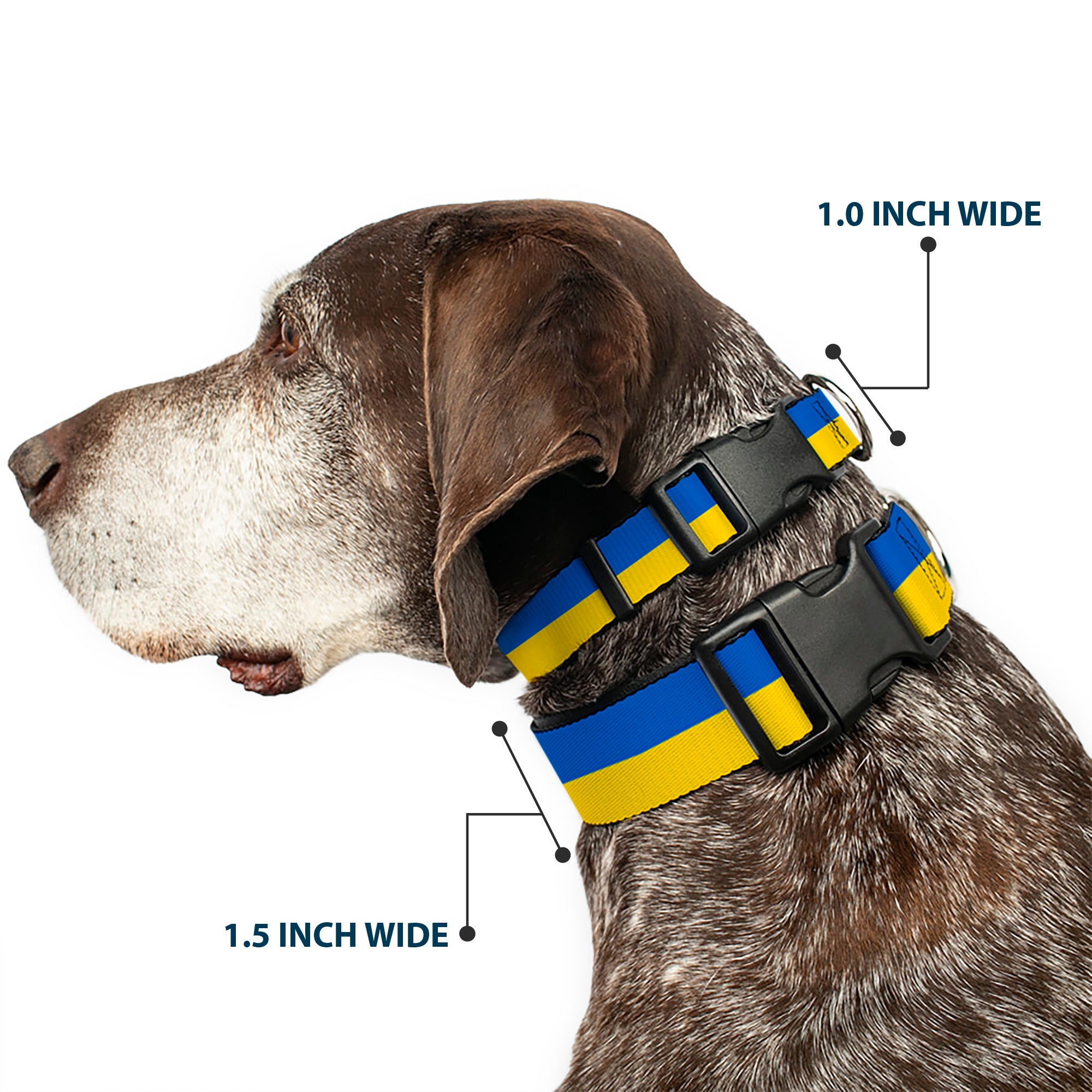 Plastic Clip Collar - Ukraine Flag Continuous Plastic Clip Collars Buckle-Down