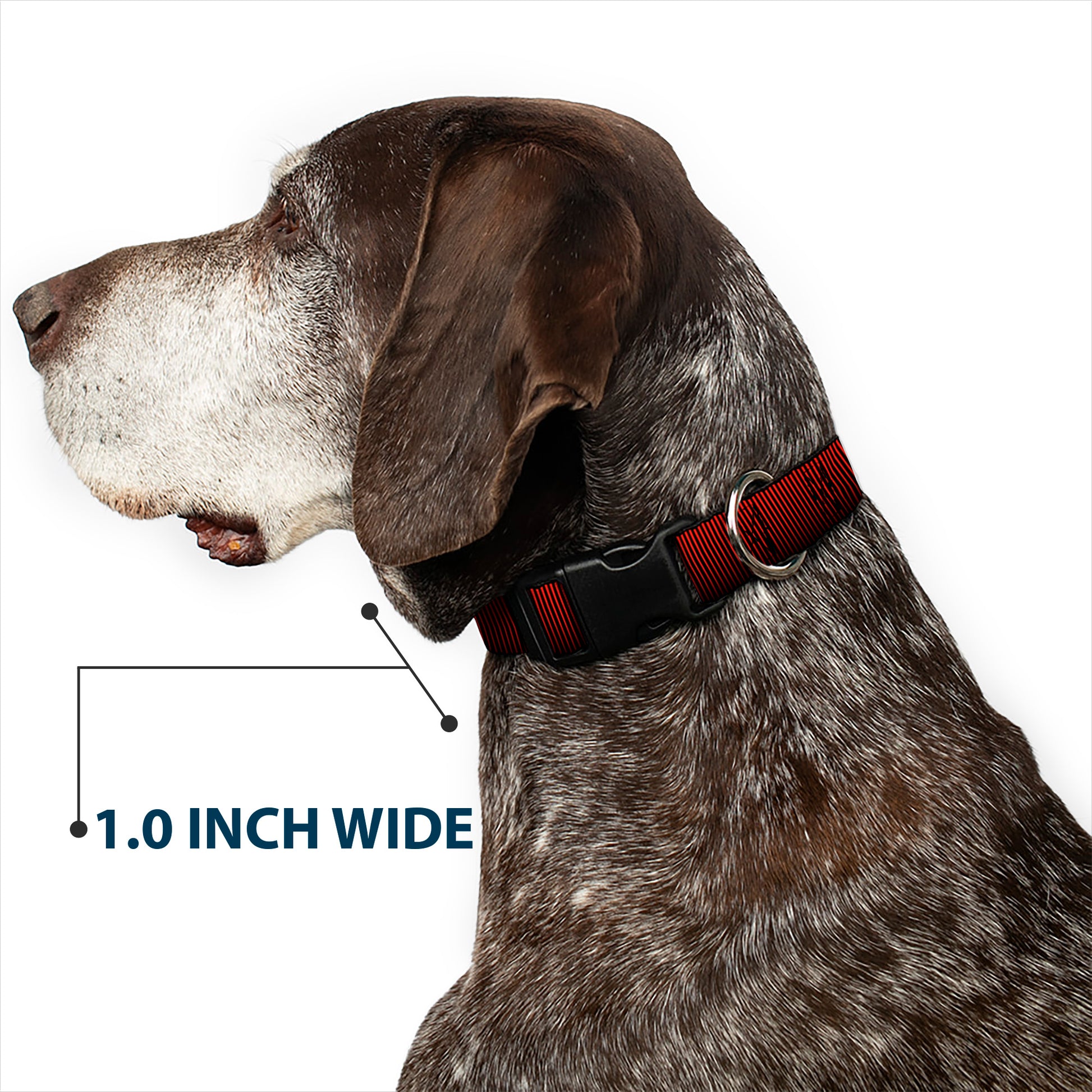 Plastic Clip Collar - Vertical Stripes Transition Black/Red Plastic Clip Collars Buckle-Down