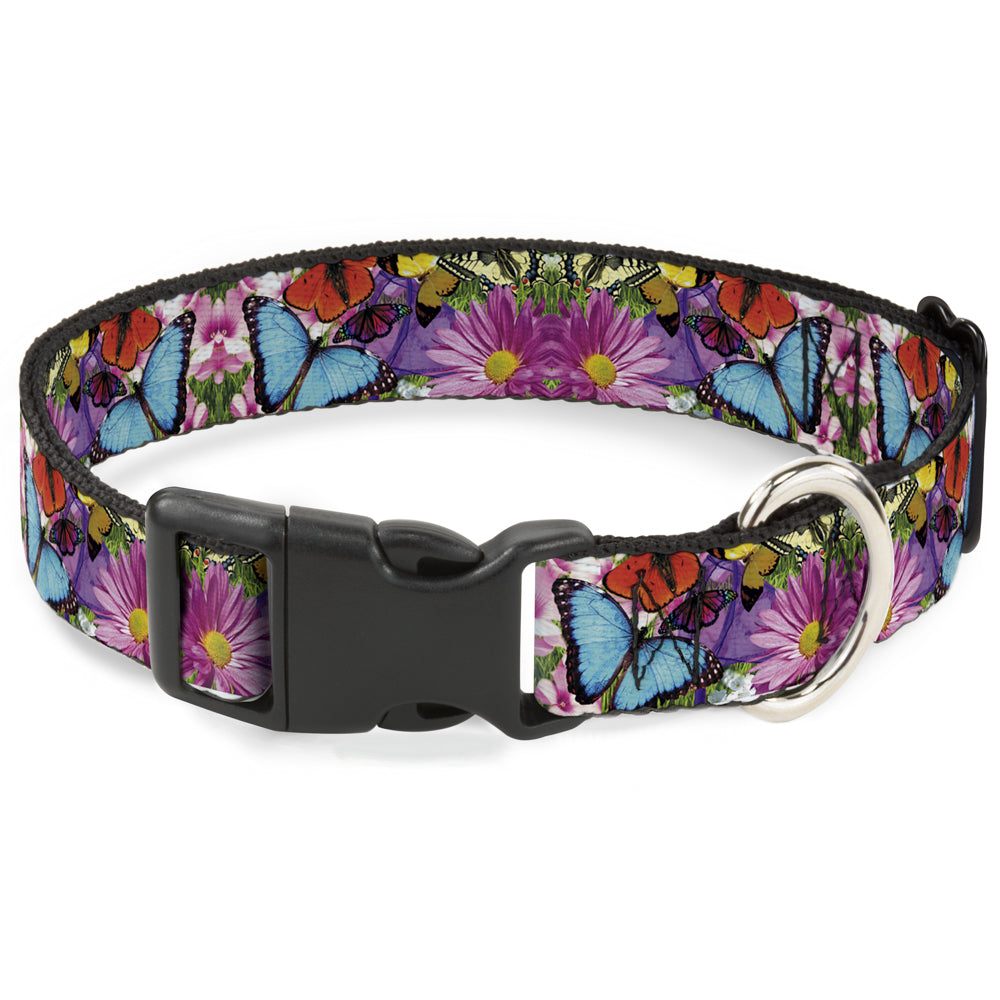 Plastic Clip Collar - Vivid Butterfly Garden Plastic Clip Collars Buckle-Down