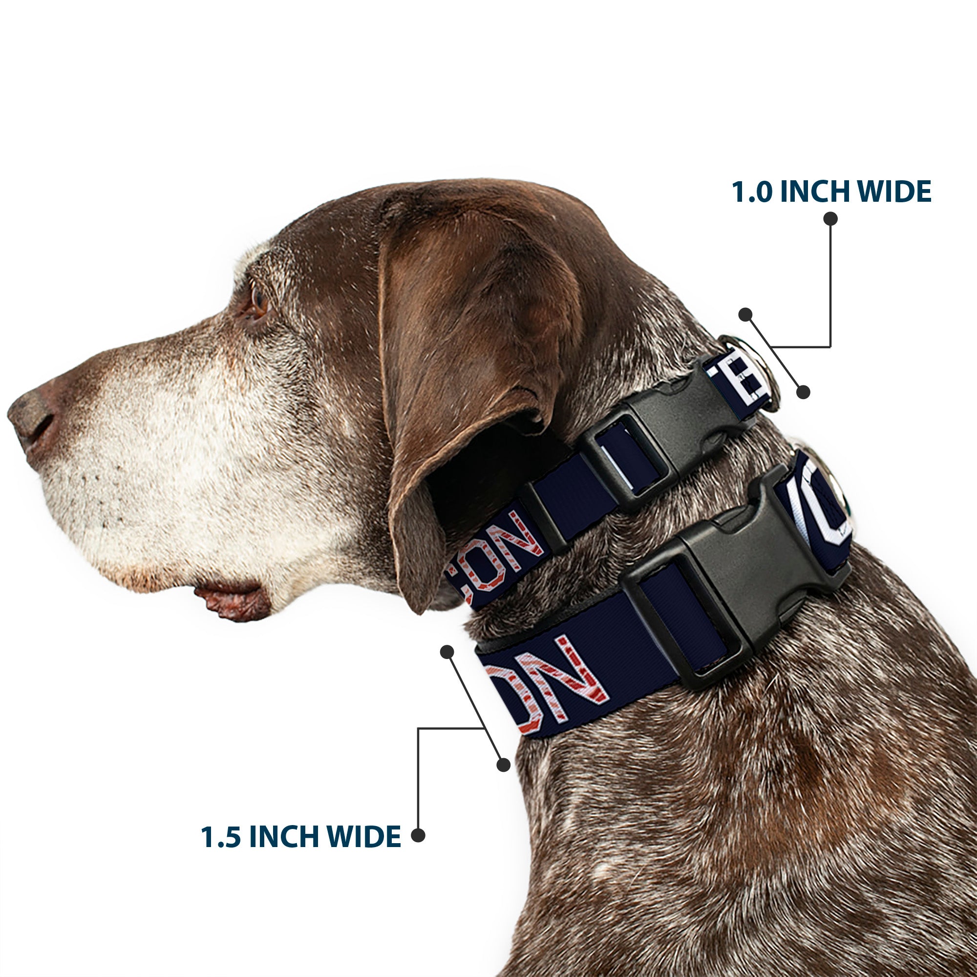 Plastic Clip Collar - VOTE FOR BACON Black/White/Bacon Plastic Clip Collars Buckle-Down