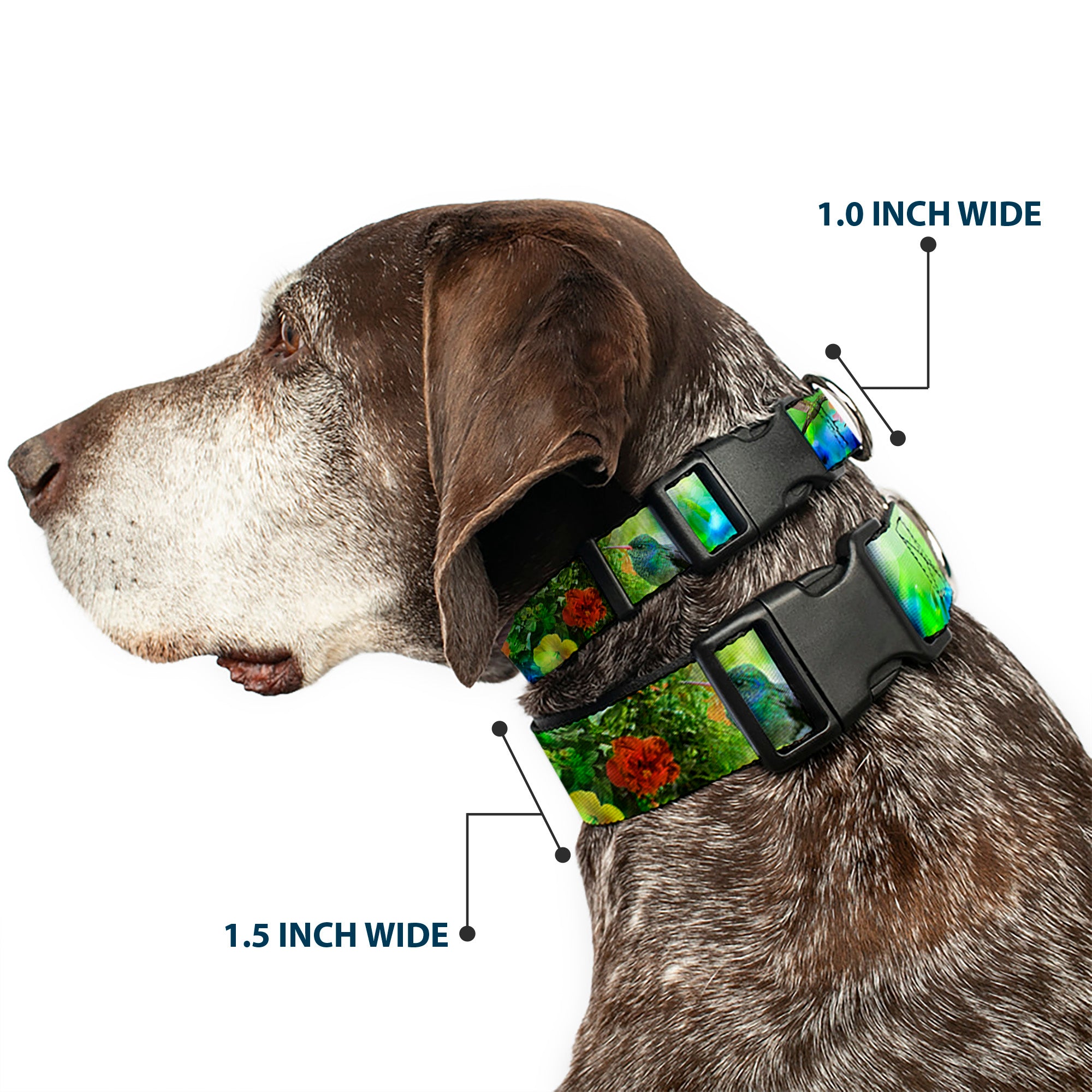 Plastic Clip Collar - Vivid Hummingbird Garden Plastic Clip Collars Buckle-Down