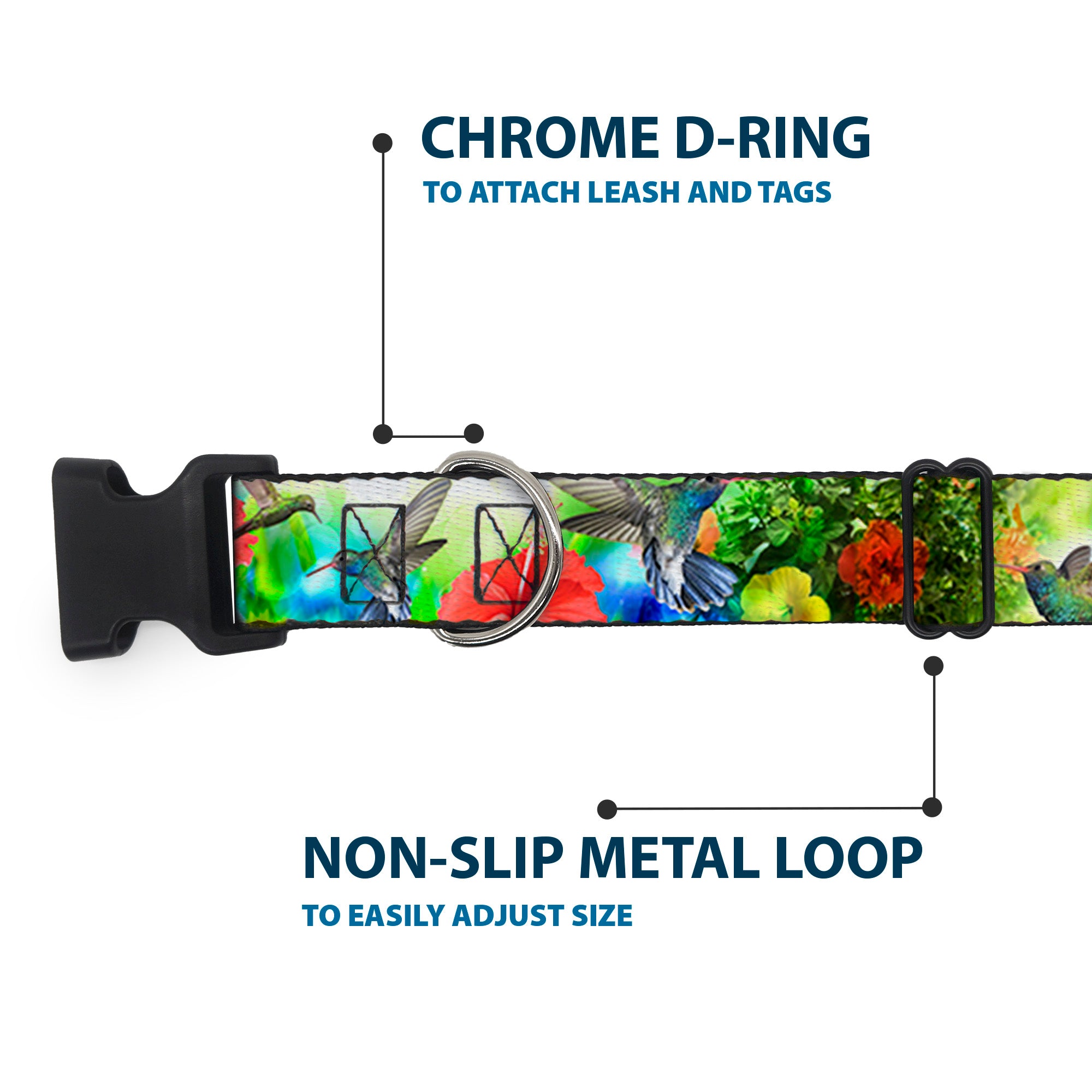 Plastic Clip Collar - Vivid Hummingbird Garden Plastic Clip Collars Buckle-Down