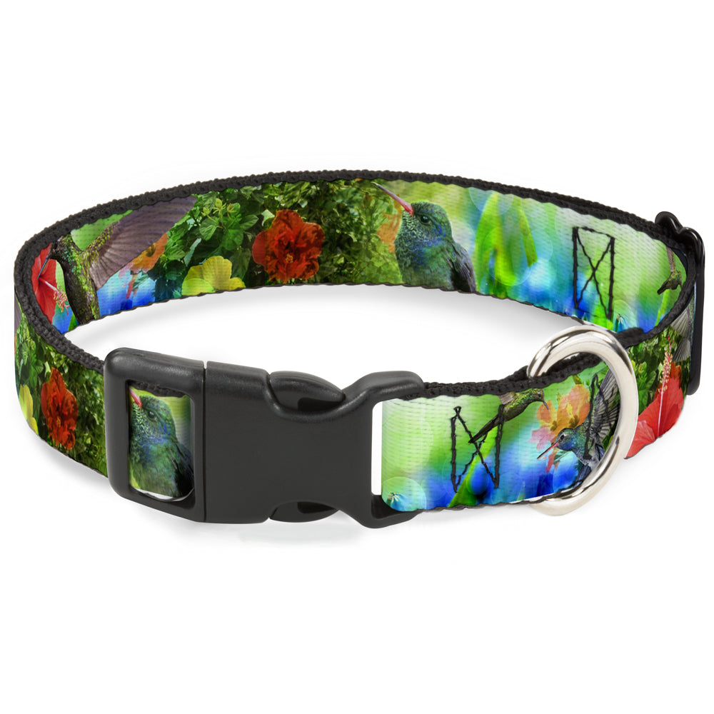 Plastic Clip Collar - Vivid Hummingbird Garden Plastic Clip Collars Buckle-Down