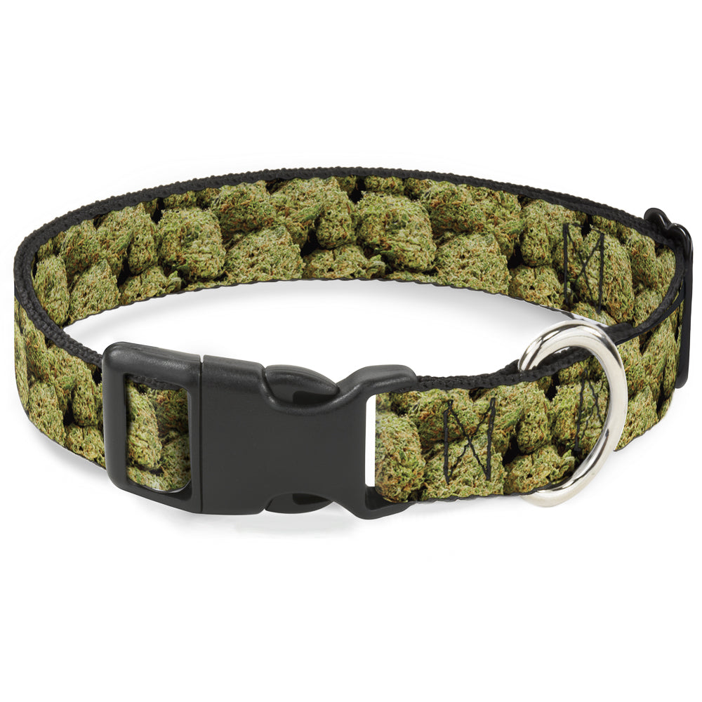 Buckle-Down Plastic Buckle Dog Collar - Vivid Marijuana Nugs2 Stacked Plastic Clip Collars Buckle-Down