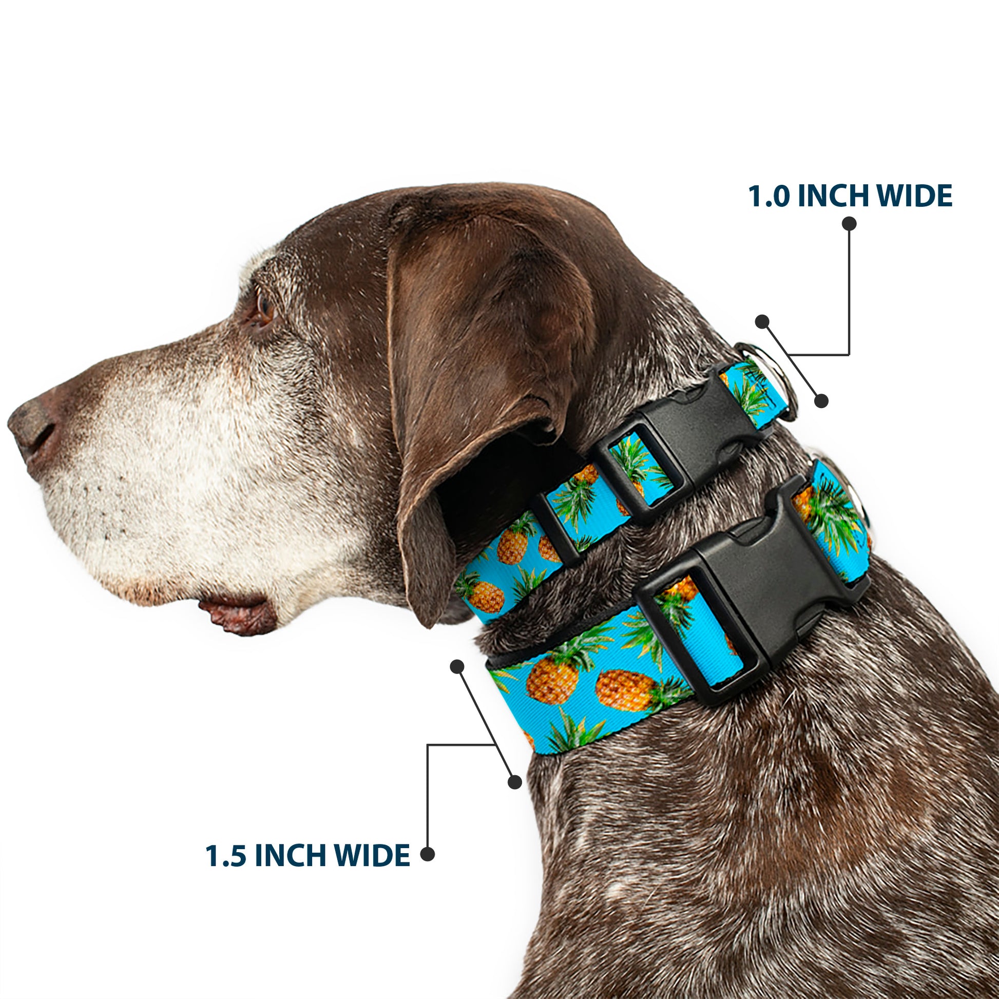 Plastic Clip Collar - Vivid Pineapples Scattered Blue Plastic Clip Collars Buckle-Down