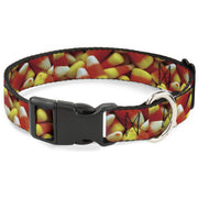Plastic Clip Collar - Vivid Candy Corn Stacked Plastic Clip Collars Buckle-Down