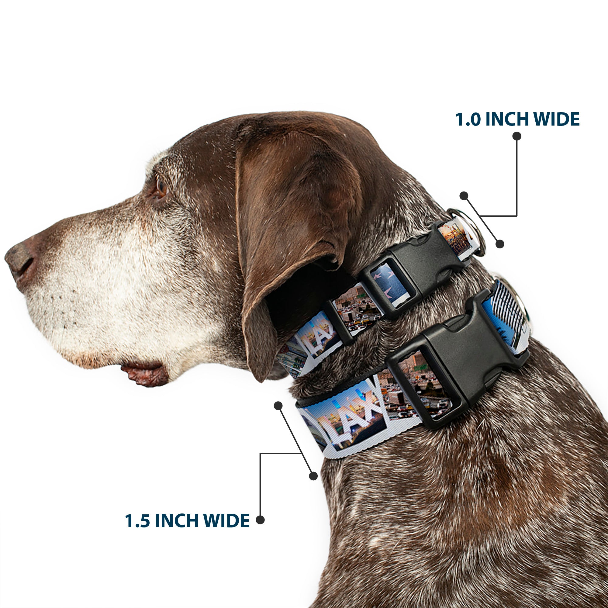 Plastic Clip Collar - Vivid Los Angeles Snapshots Stacked Plastic Clip Collars Buckle-Down