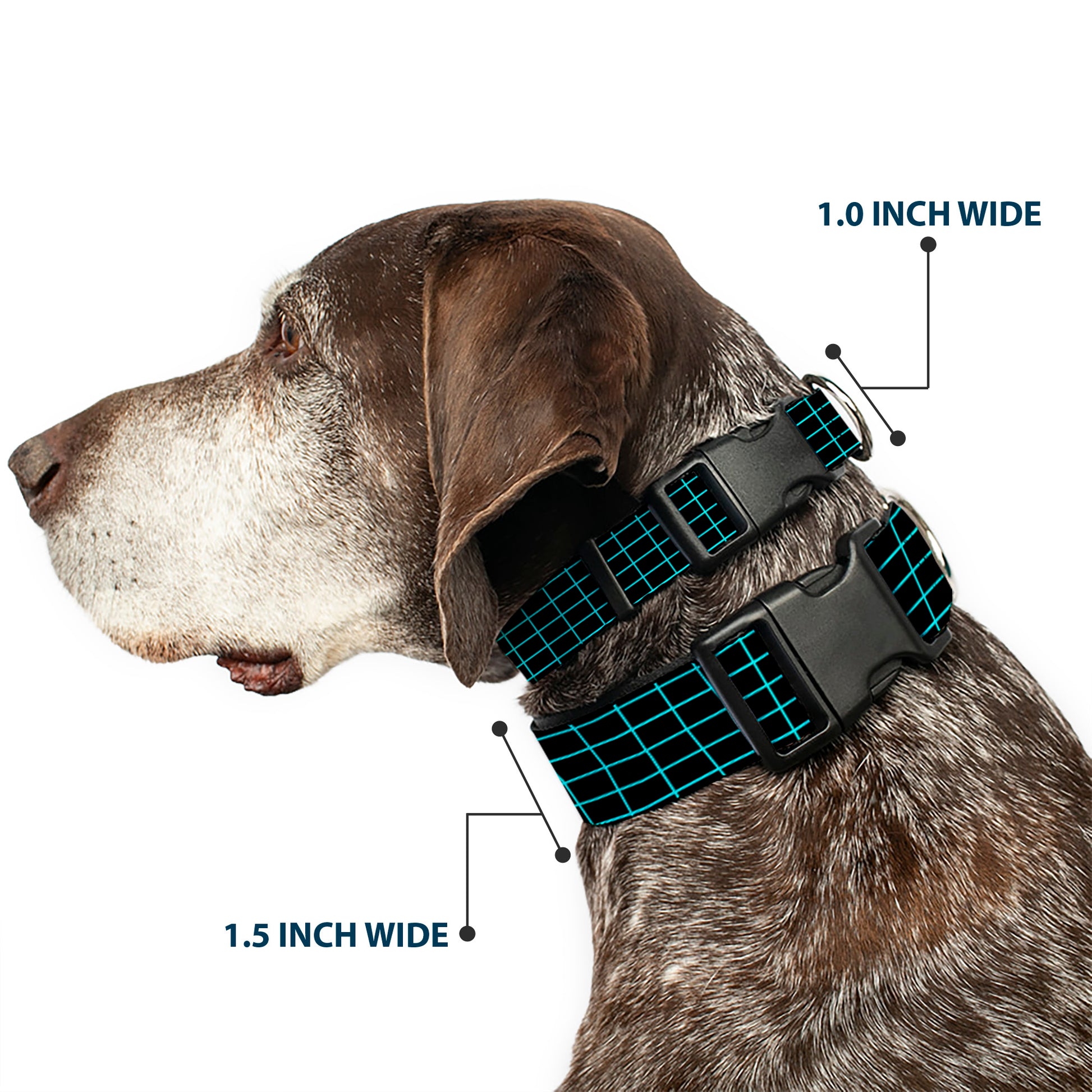 Plastic Clip Collar - Wire Grid Black/Blue Plastic Clip Collars Buckle-Down