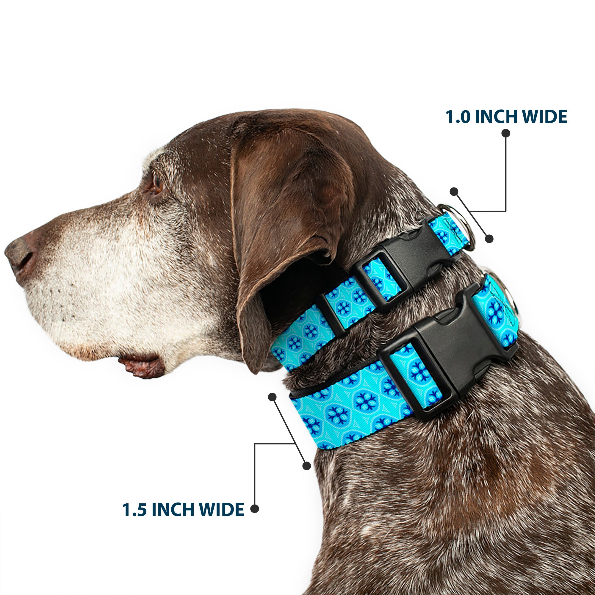 Plastic Clip Collar - Wallpaper2 Baby Blue/Blue Plastic Clip Collars Buckle-Down