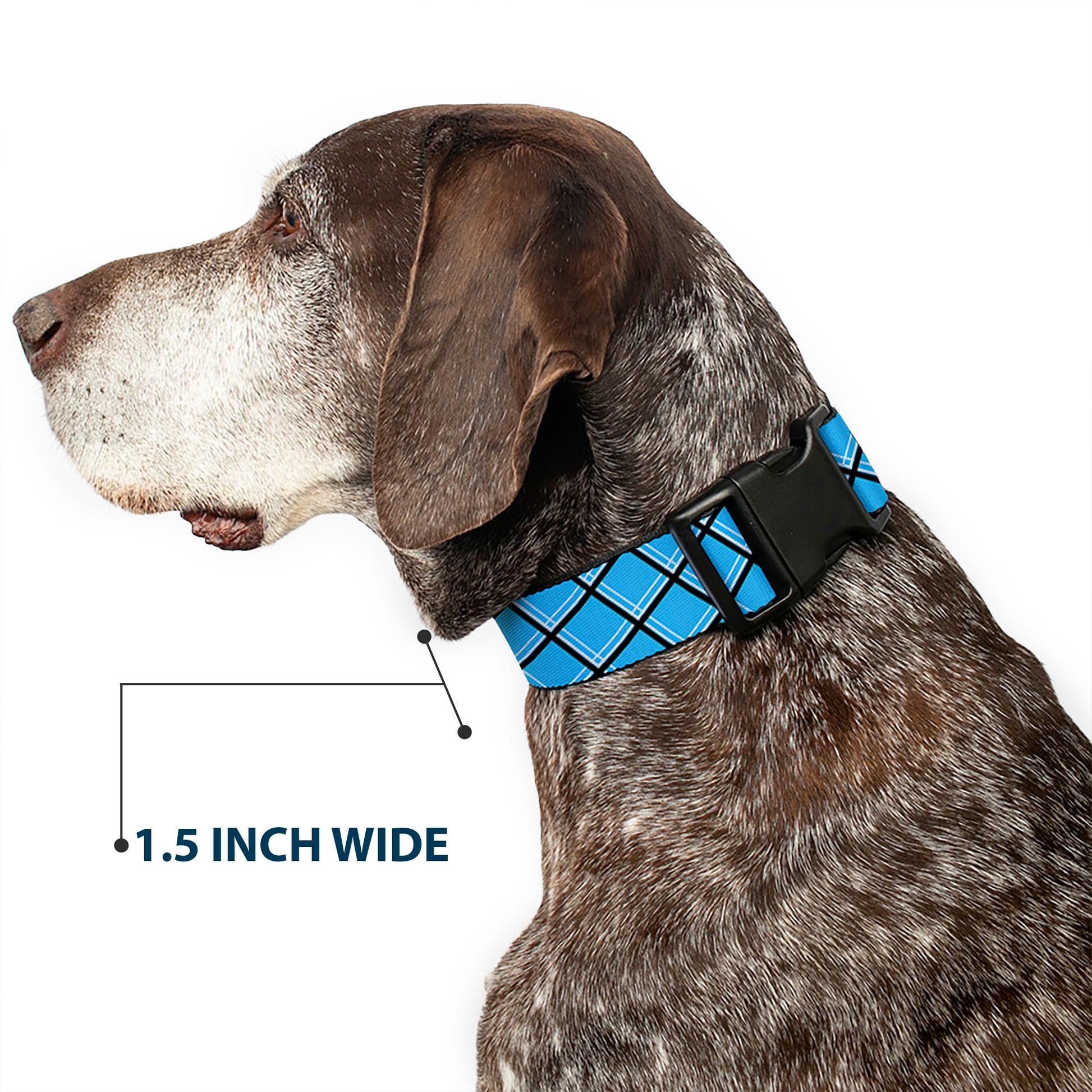 Plastic Clip Collar - Wire Grid Baby Blue Black/White Plastic Clip Collars Buckle-Down