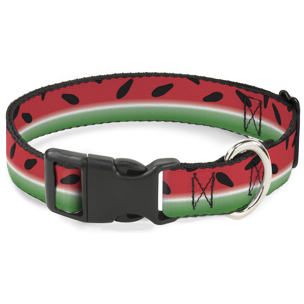 Plastic Clip Collar - Watermelon Stripe Red/Green/Black Plastic Clip Collars Buckle-Down