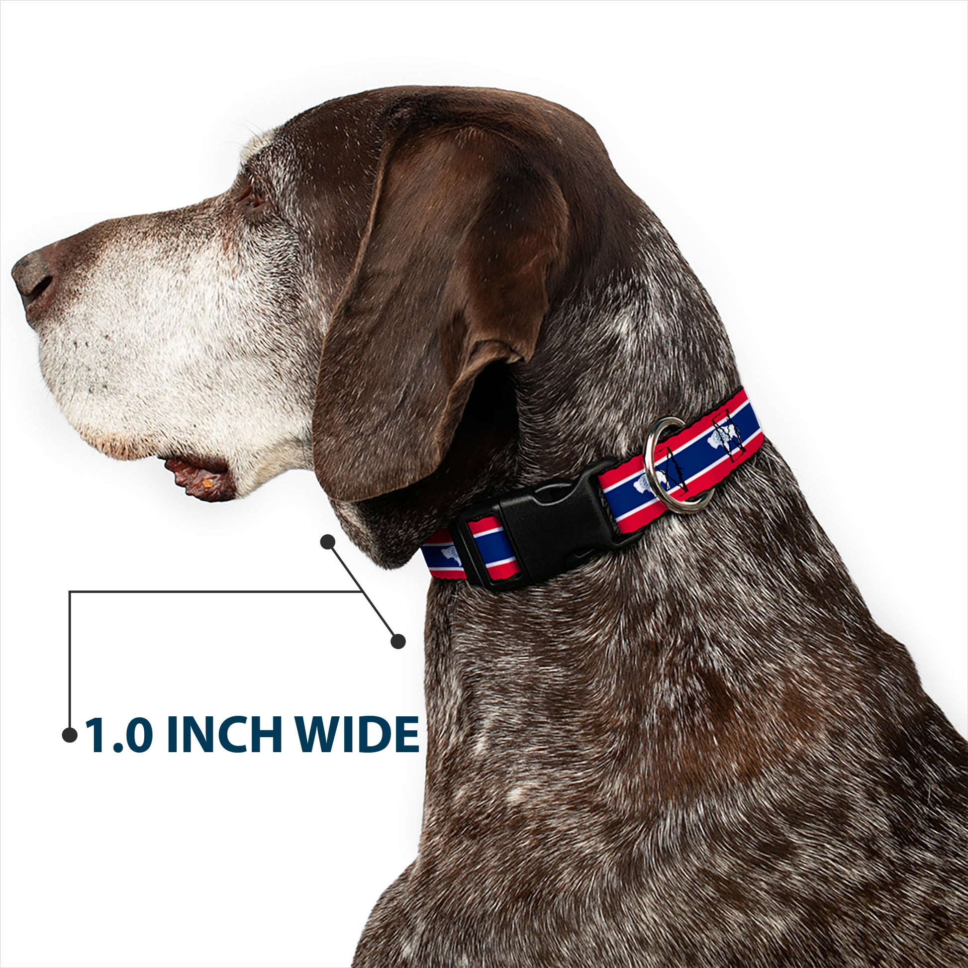 Plastic Clip Collar - Wyoming Flags Plastic Clip Collars Buckle-Down