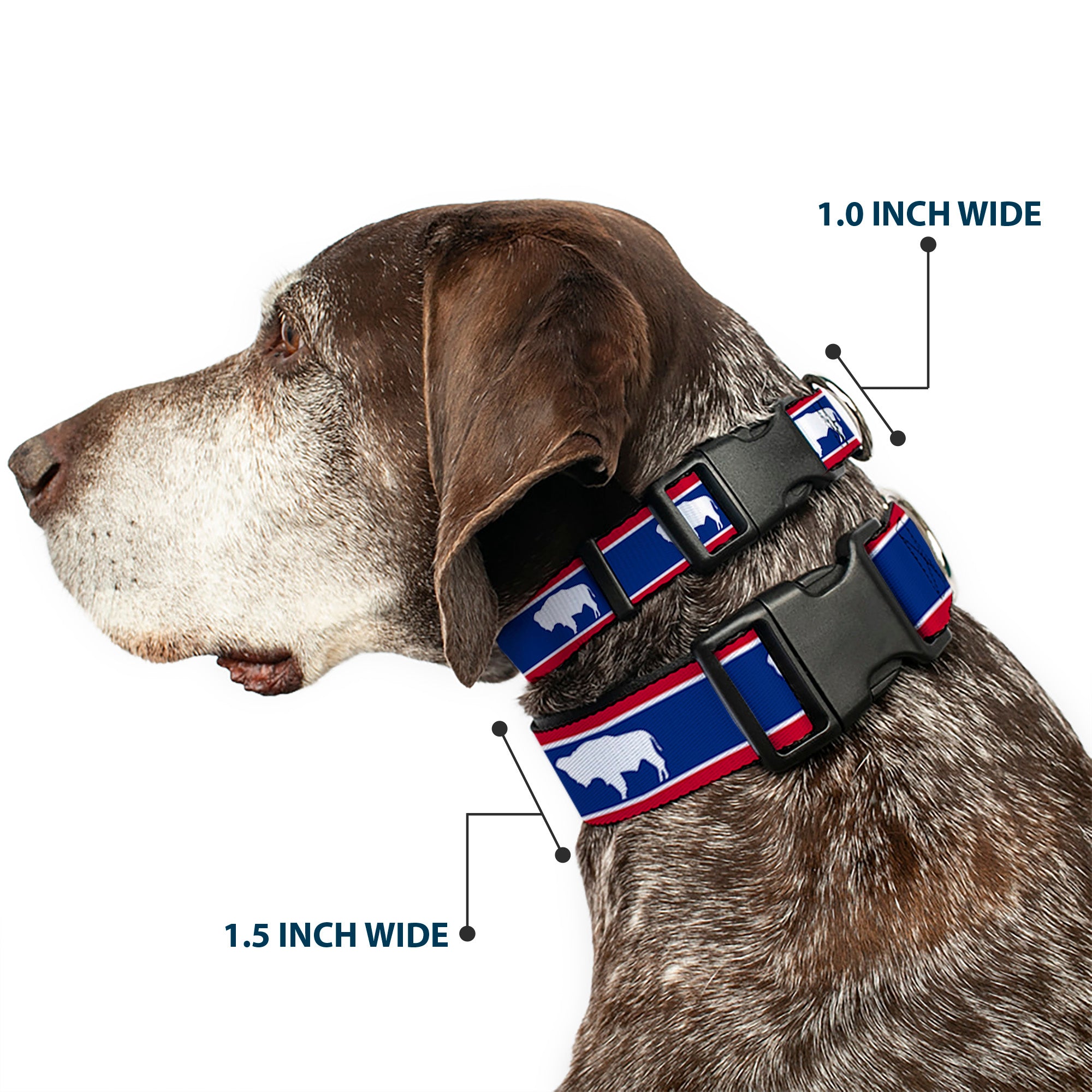 Plastic Clip Collar - Wyoming Flags Bison Silhouette Plastic Clip Collars Buckle-Down