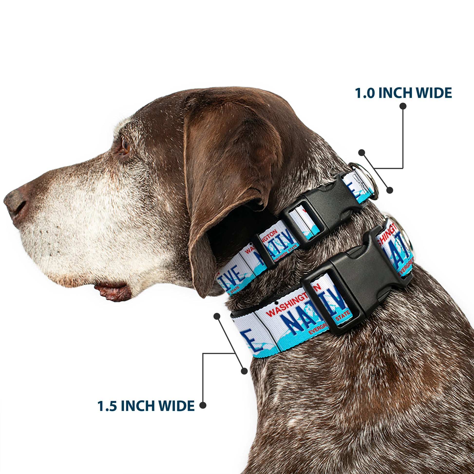 Plastic Clip Collar - Washington License Plate NATIVE Plastic Clip Collars Buckle-Down