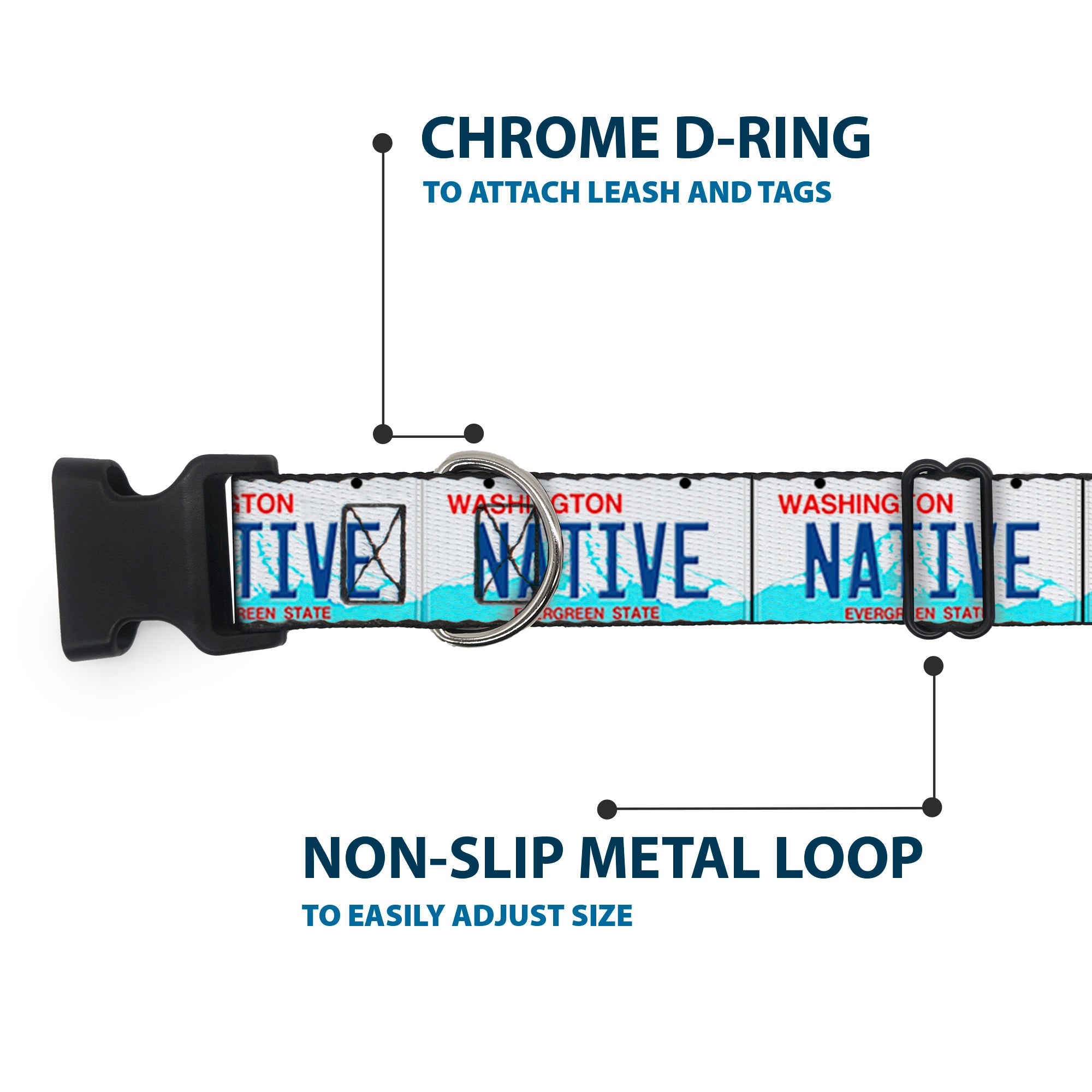 Plastic Clip Collar - Washington License Plate NATIVE Plastic Clip Collars Buckle-Down