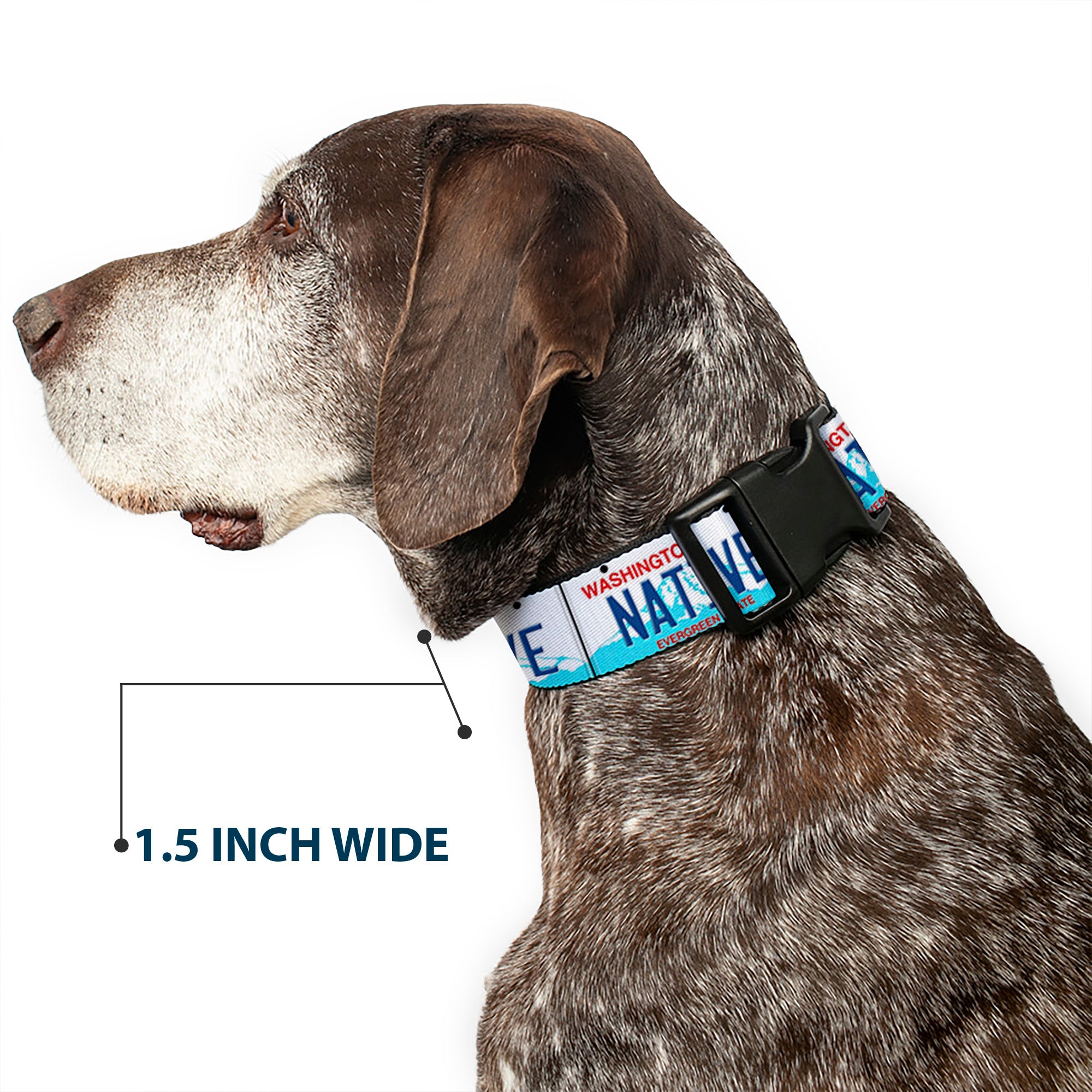 Plastic Clip Collar - Washington License Plate NATIVE Plastic Clip Collars Buckle-Down