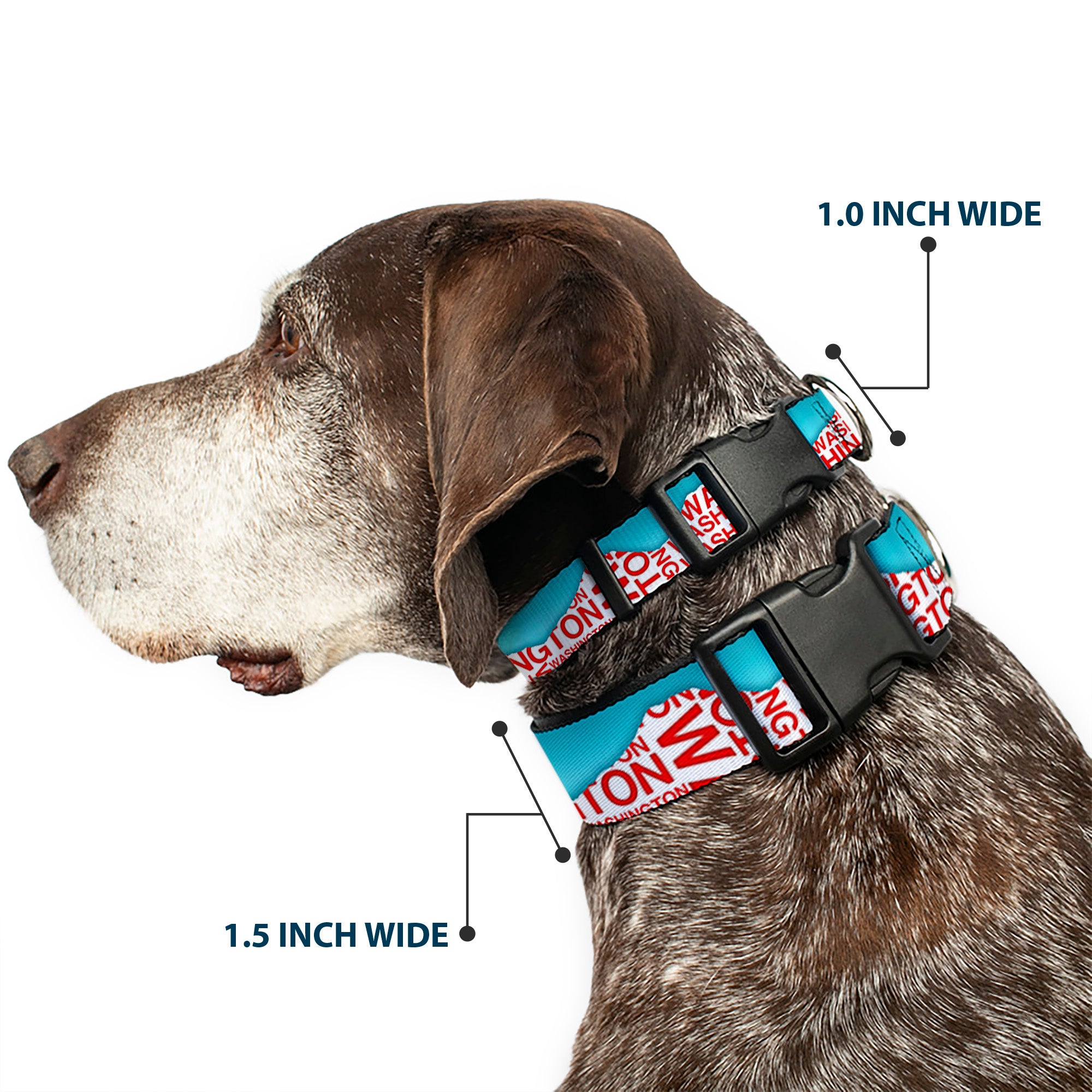 Plastic Clip Collar - WASHINGTON Mountain Range Turquoise/White/Red Plastic Clip Collars Buckle-Down