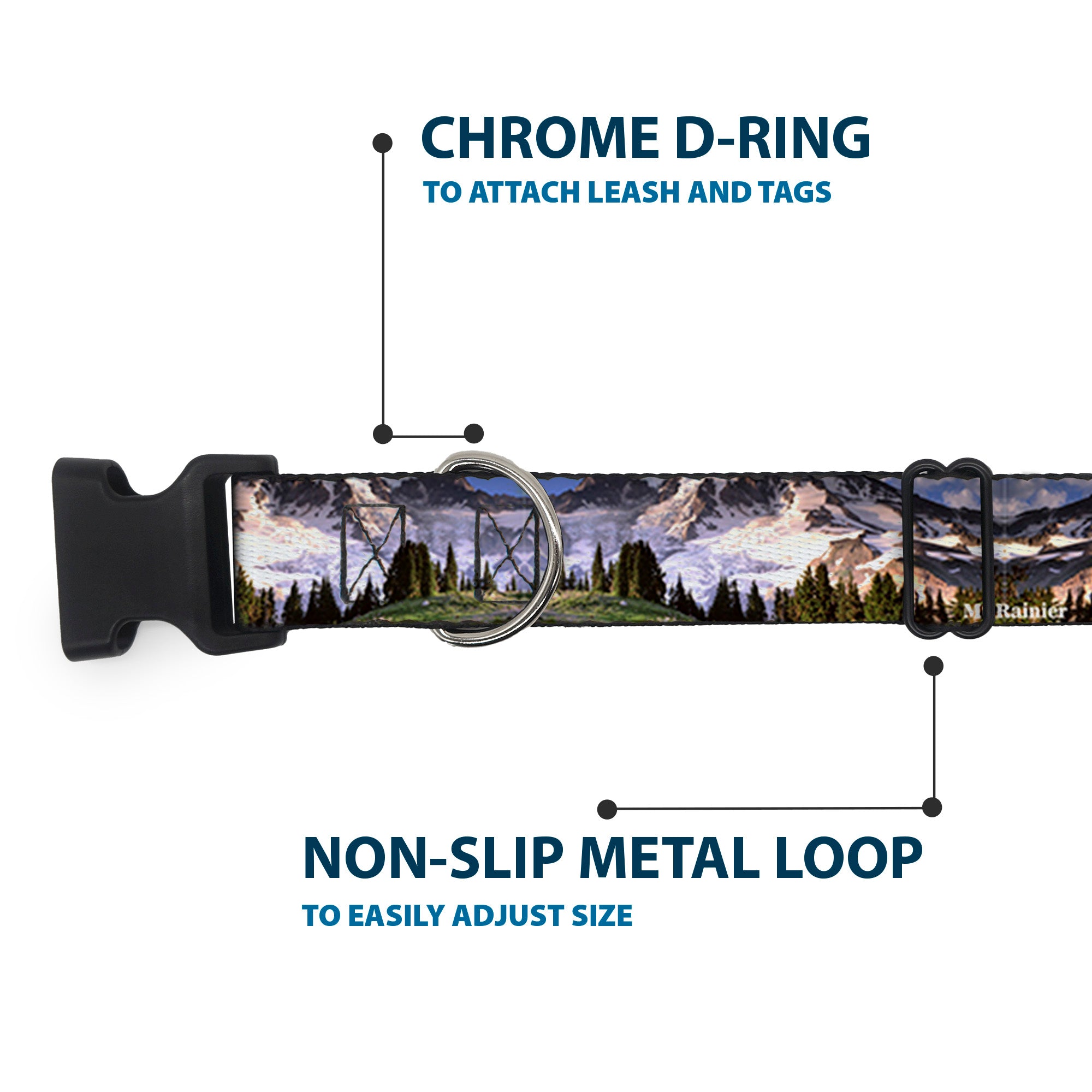 Plastic Clip Collar - Washington MT. RAINIER Valley Landscape Plastic Clip Collars Buckle-Down