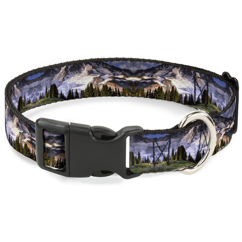 Plastic Clip Collar - Washington MT. RAINIER Valley Landscape Plastic Clip Collars Buckle-Down