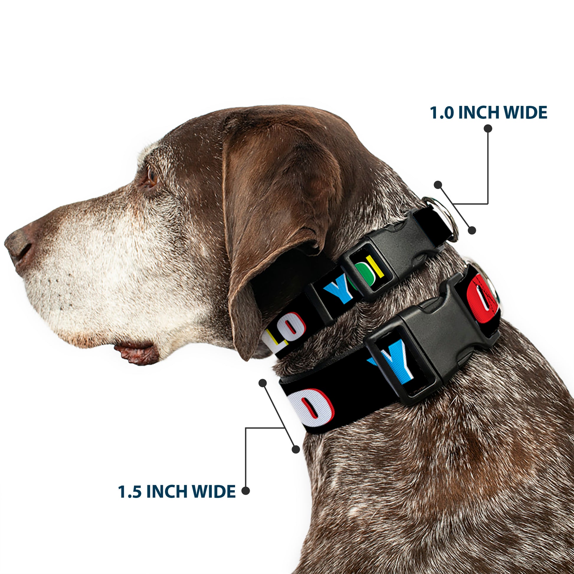 Plastic Clip Collar - YOLO Black/Multi Color Plastic Clip Collars Buckle-Down