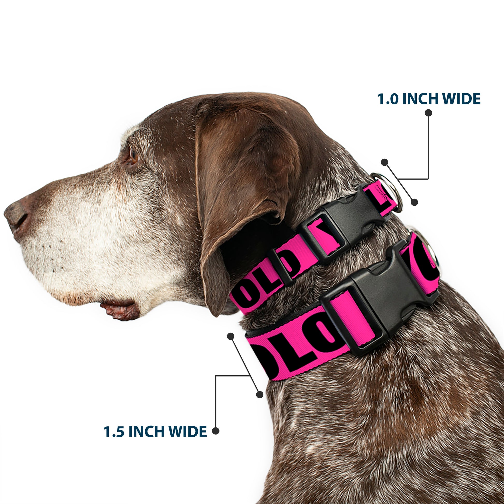 Plastic Clip Collar - YOLO Pink/Black Plastic Clip Collars Buckle-Down