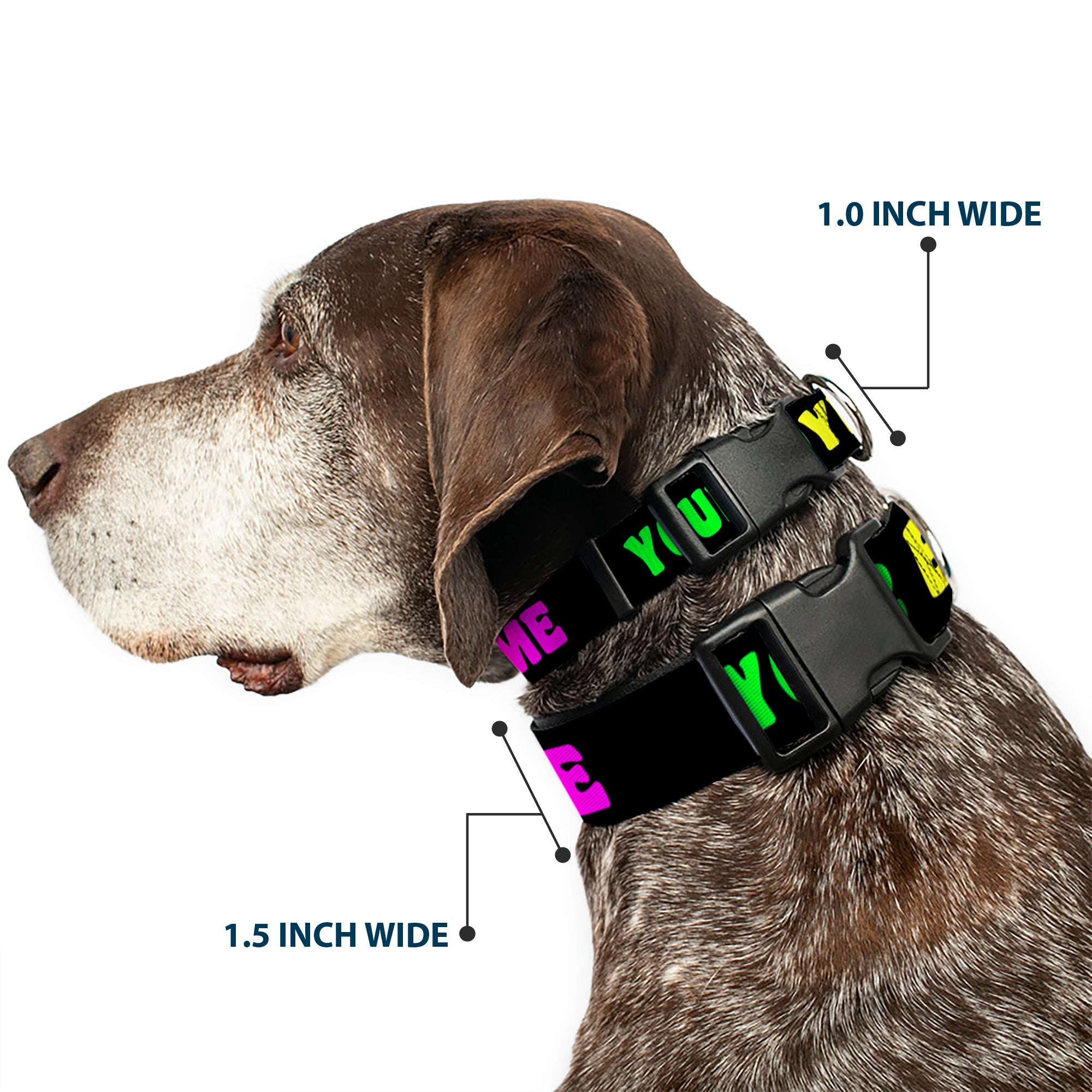 Plastic Clip Collar - YOUR BOYFRIEND LOVES ME w/Kiss Black/Neon Plastic Clip Collars Buckle-Down