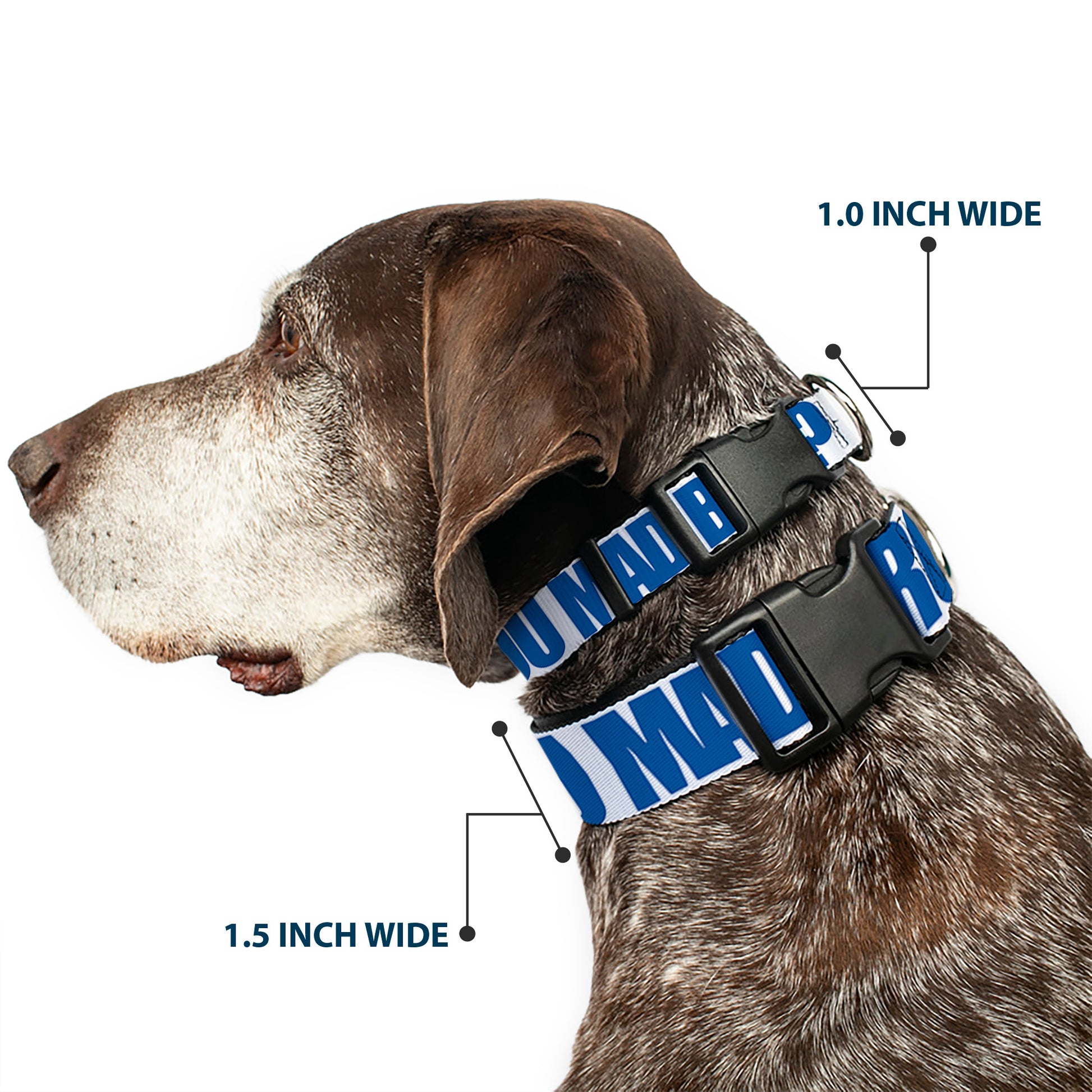 Plastic Clip Collar - YOU MAD BRO White/Royal Plastic Clip Collars Buckle-Down