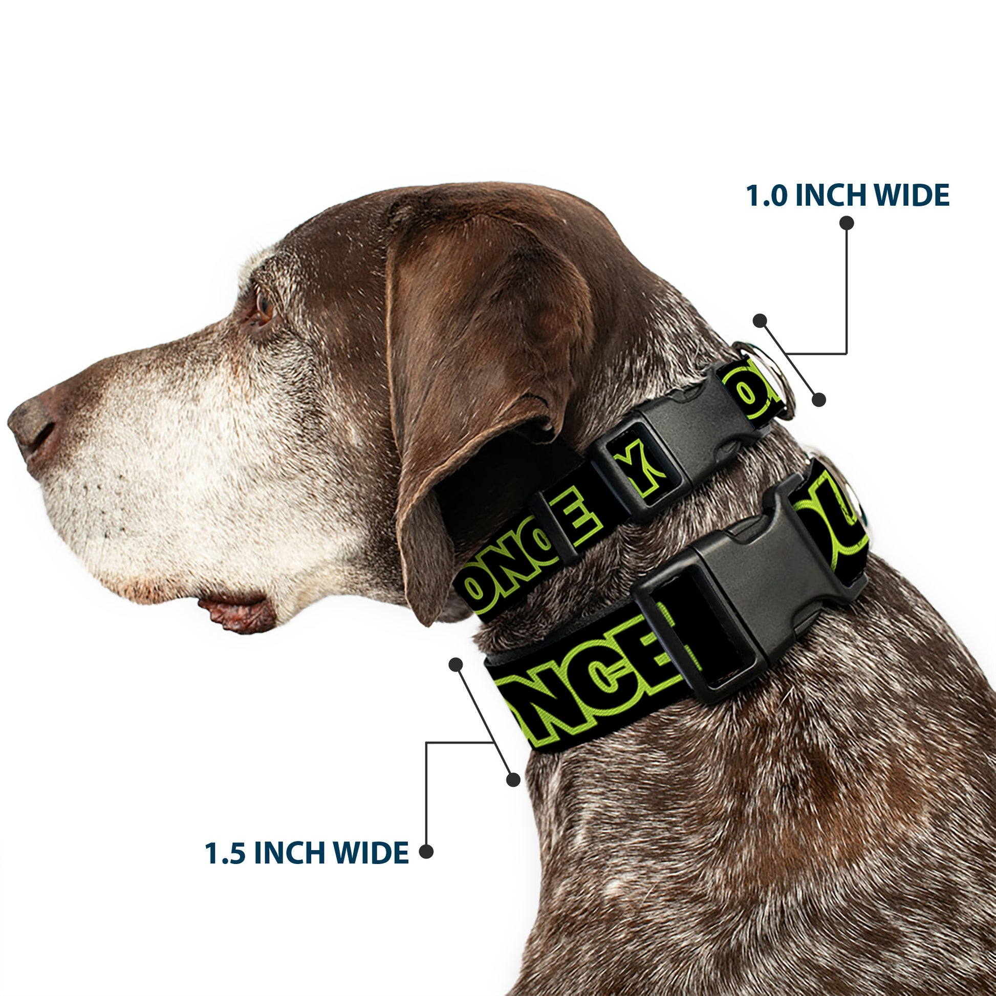Plastic Clip Collar - YOU ONLY LIVE ONCE Black/Neon Green Plastic Clip Collars Buckle-Down