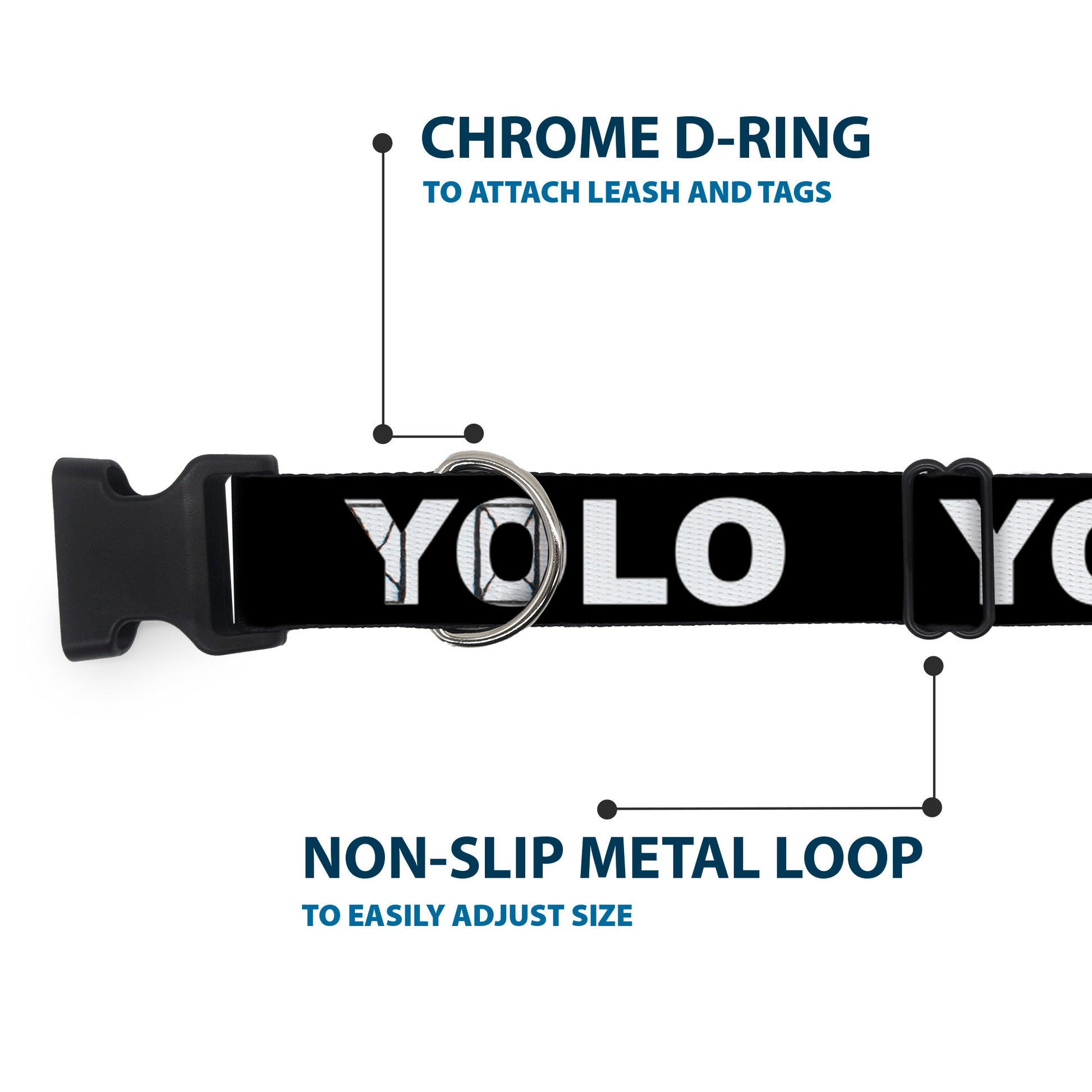 Plastic Clip Collar - YOLO Black/White Plastic Clip Collars Buckle-Down