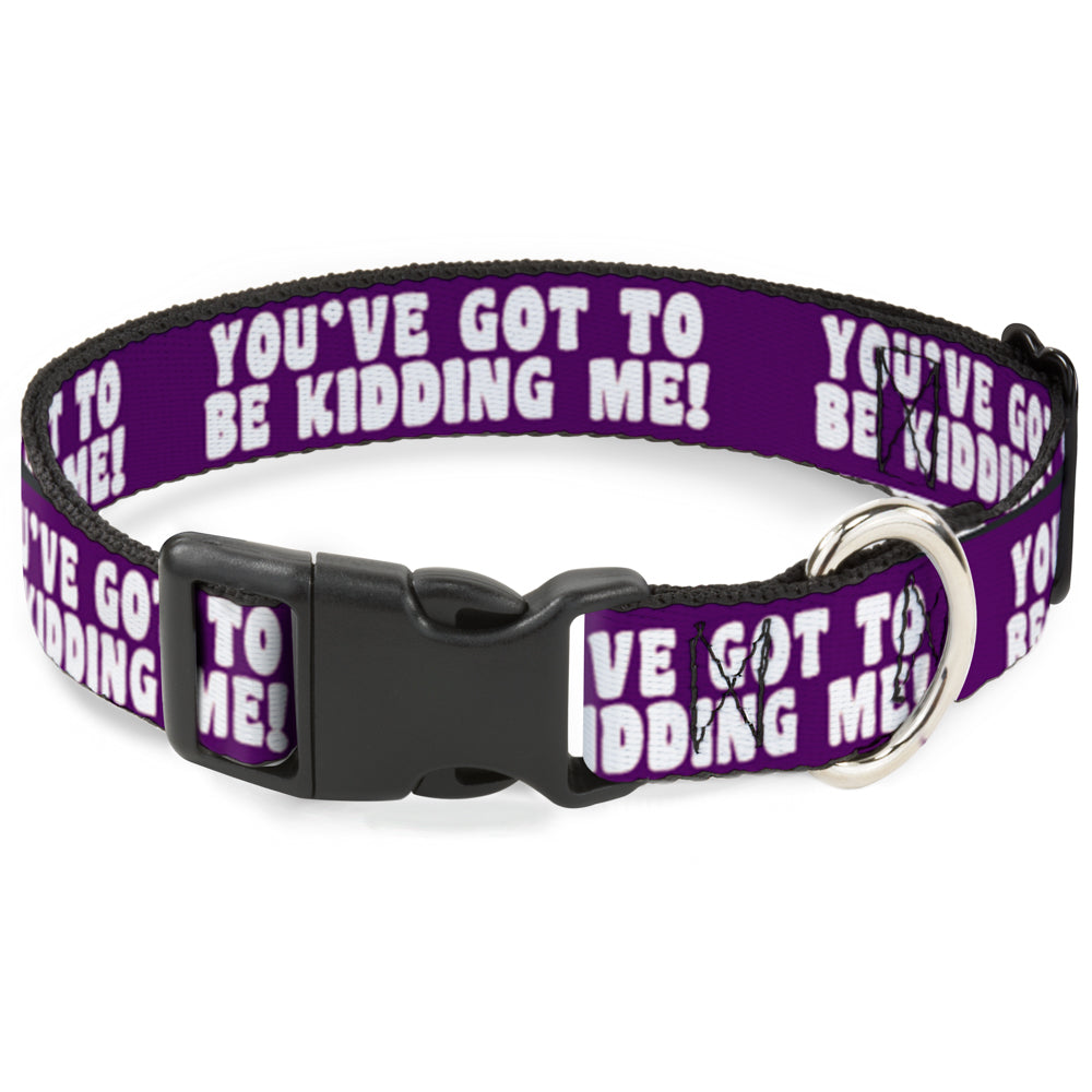 Plastic Clip Collar - YOU'VE GOT TO BE KIDDING ME! Purple/White Plastic Clip Collars Buckle-Down